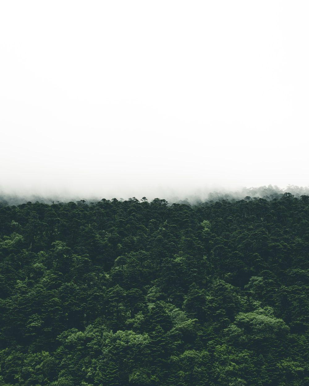 1000x1250 Sikkim Picture. Download Free Image