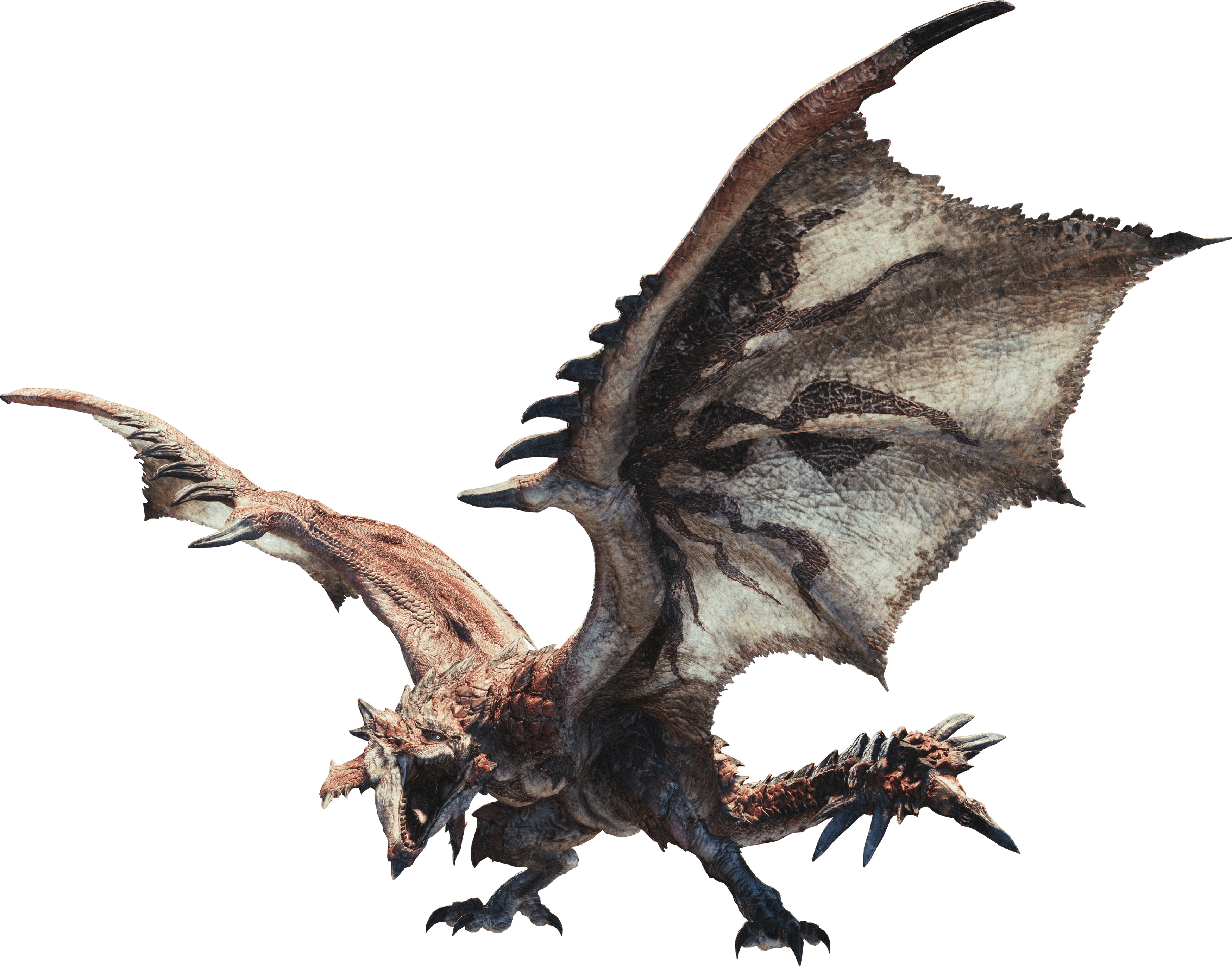 3500x2744 Rathalos