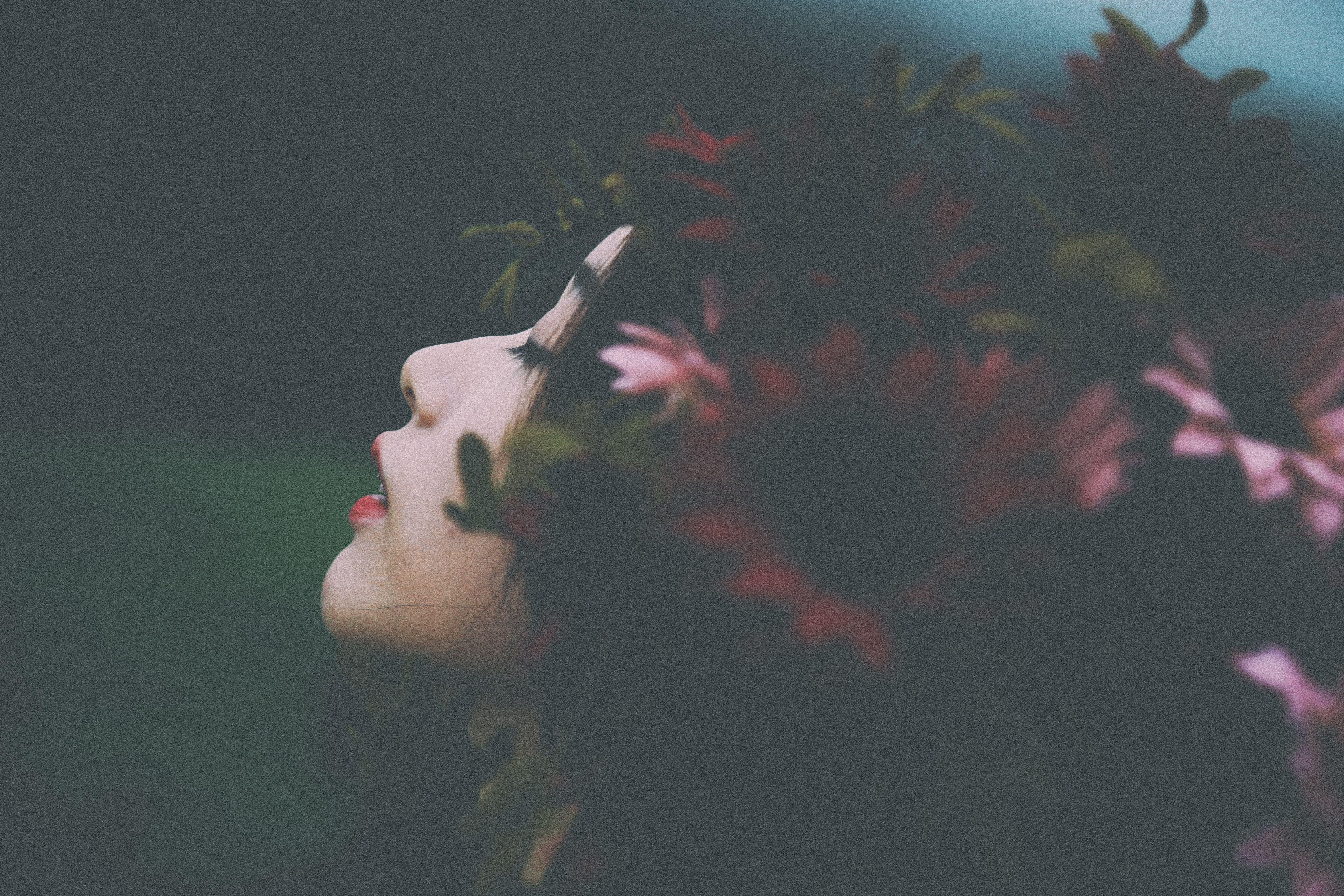 5472x3648 Wallpaper for surrender theme, surrender HD wallpaper, background