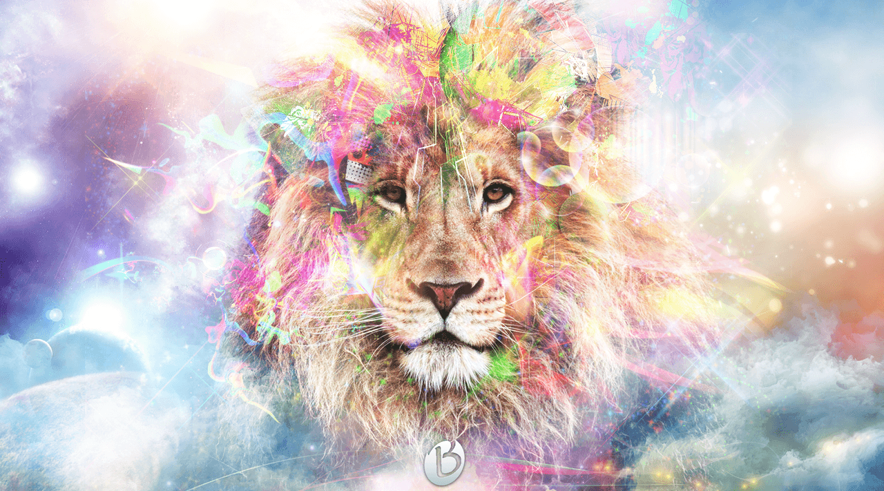 Cool Lion Wallpapers Top Free Cool Lion Backgrounds Wallpaperaccess