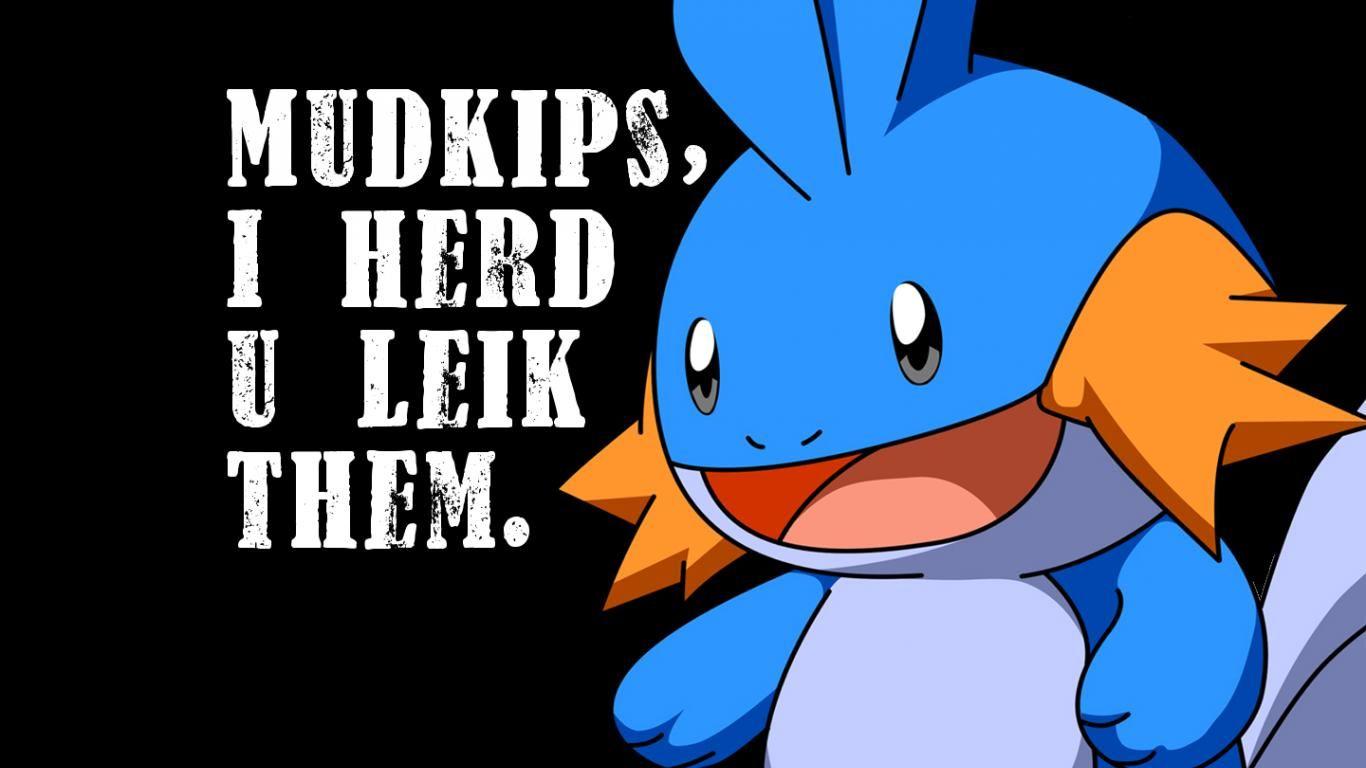 1366x768 Mudkip Background