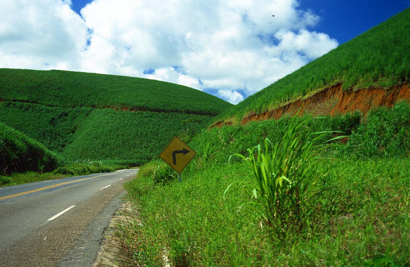 1326x864 Recife Highway And Sugar Cane Fields Brazil Picture, Recife Highway And Sugar Cane Fields Brazil Photo