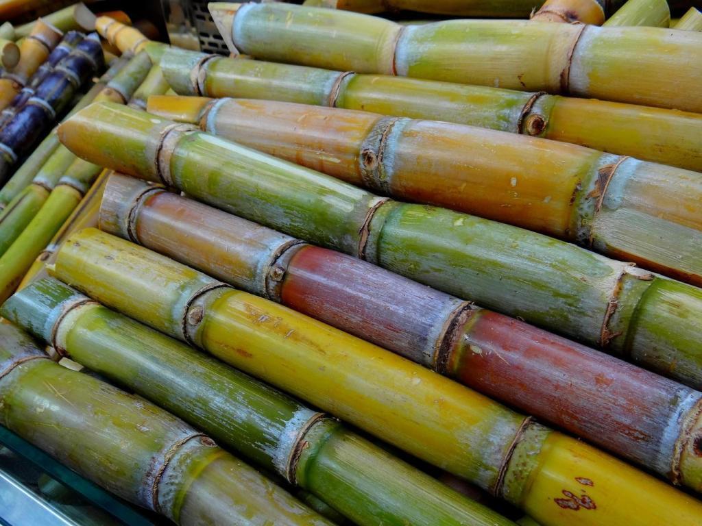 1024x768 CARICOM Sugar