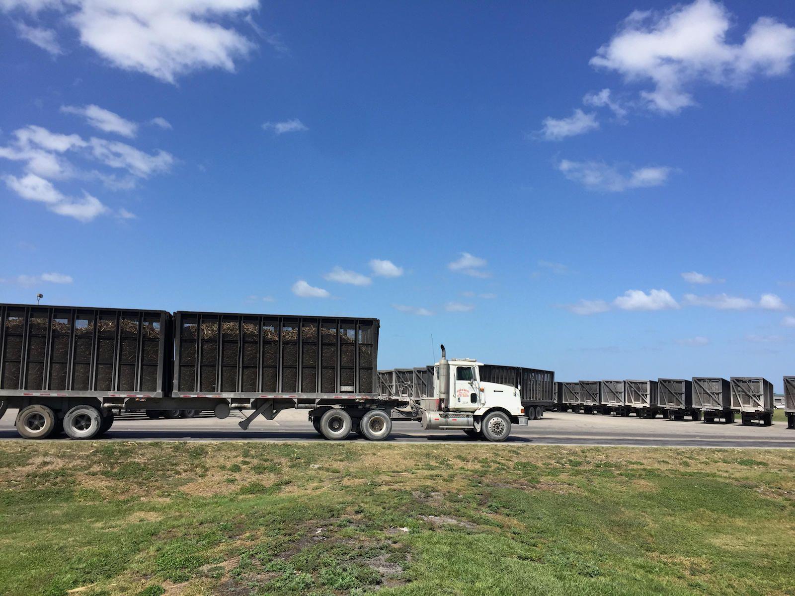 1600x1200 Trucks Deliver Sugarcane To The Sugar Cane Growers Glade Sugar Cane