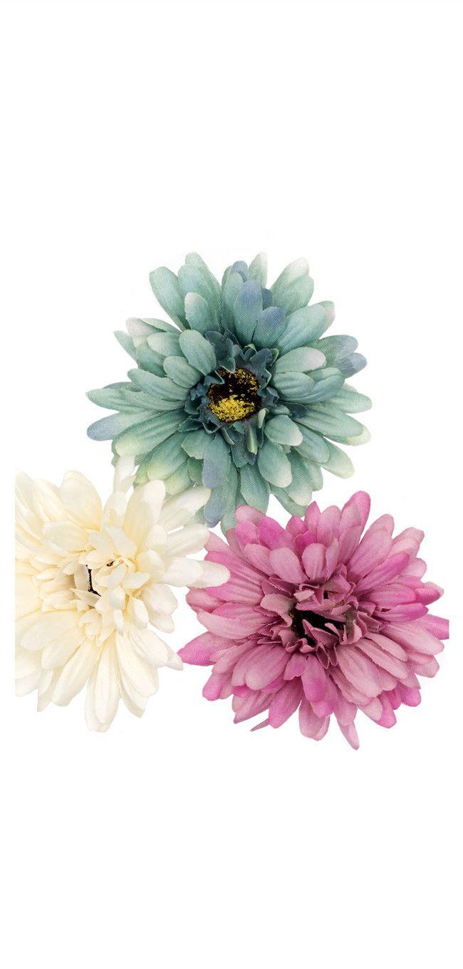 650x1361 Dried Flower Mobile Wallpaper Background Image Free Download 400630820