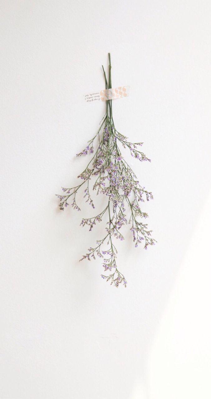 677x1280 siriusorion. Flower aesthetic, Flower wallpaper, Dried flowers