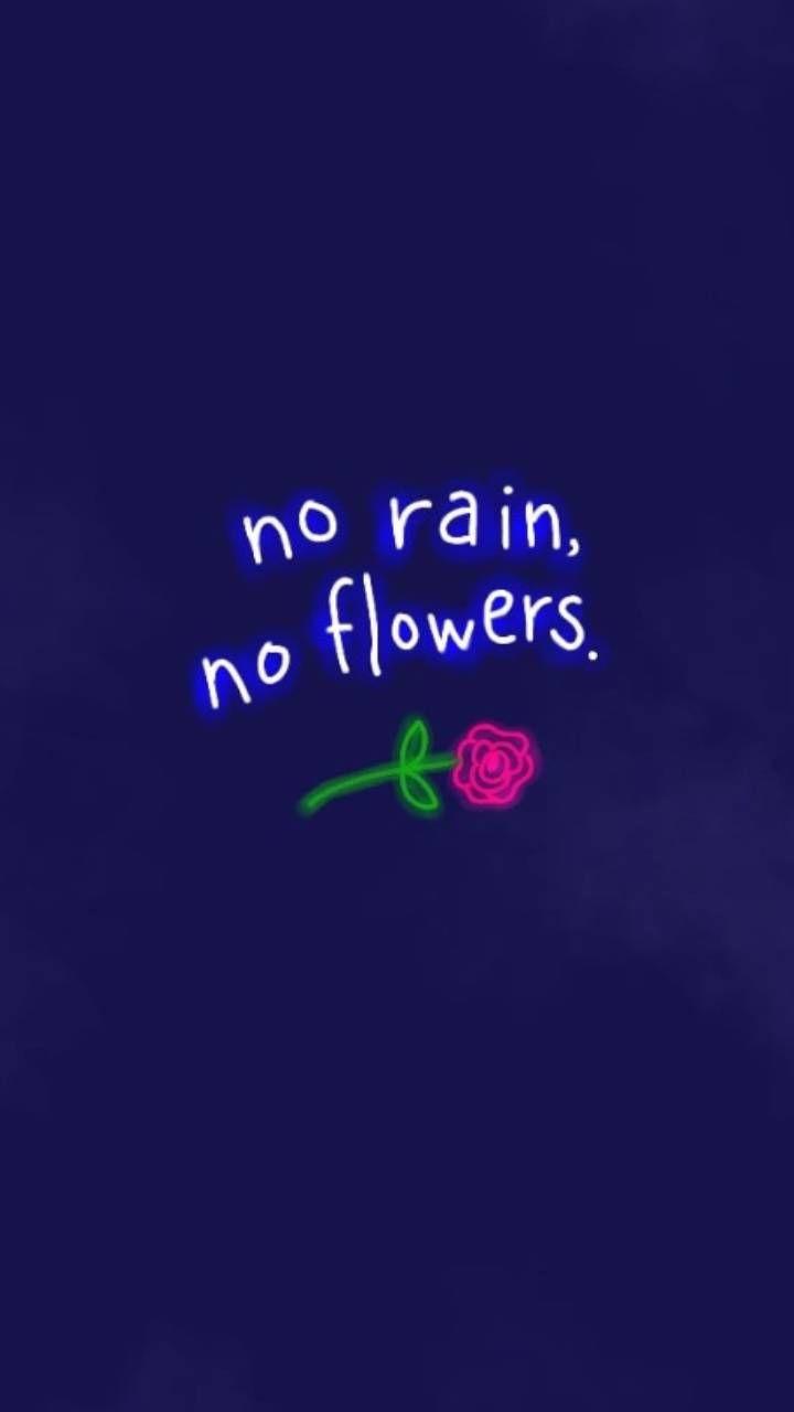 No Rain No Flowers Wallpapers - Top Free No Rain No Flowers Backgrounds