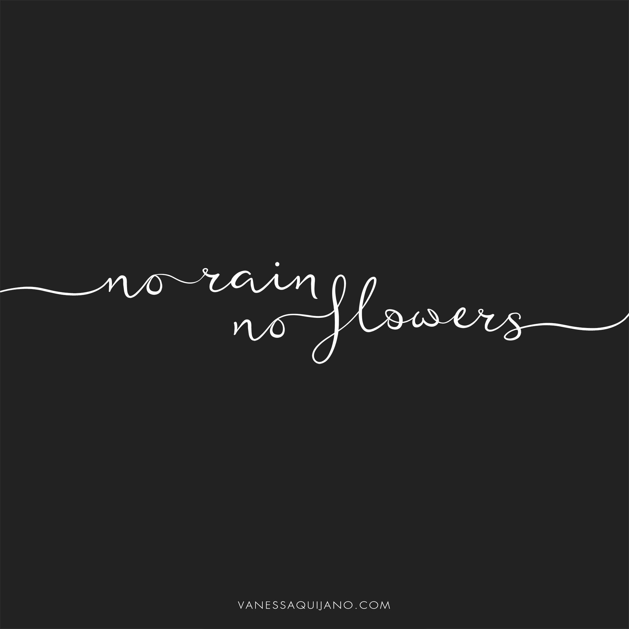 No Rain No Flowers Wallpapers - Top Free No Rain No Flowers Backgrounds