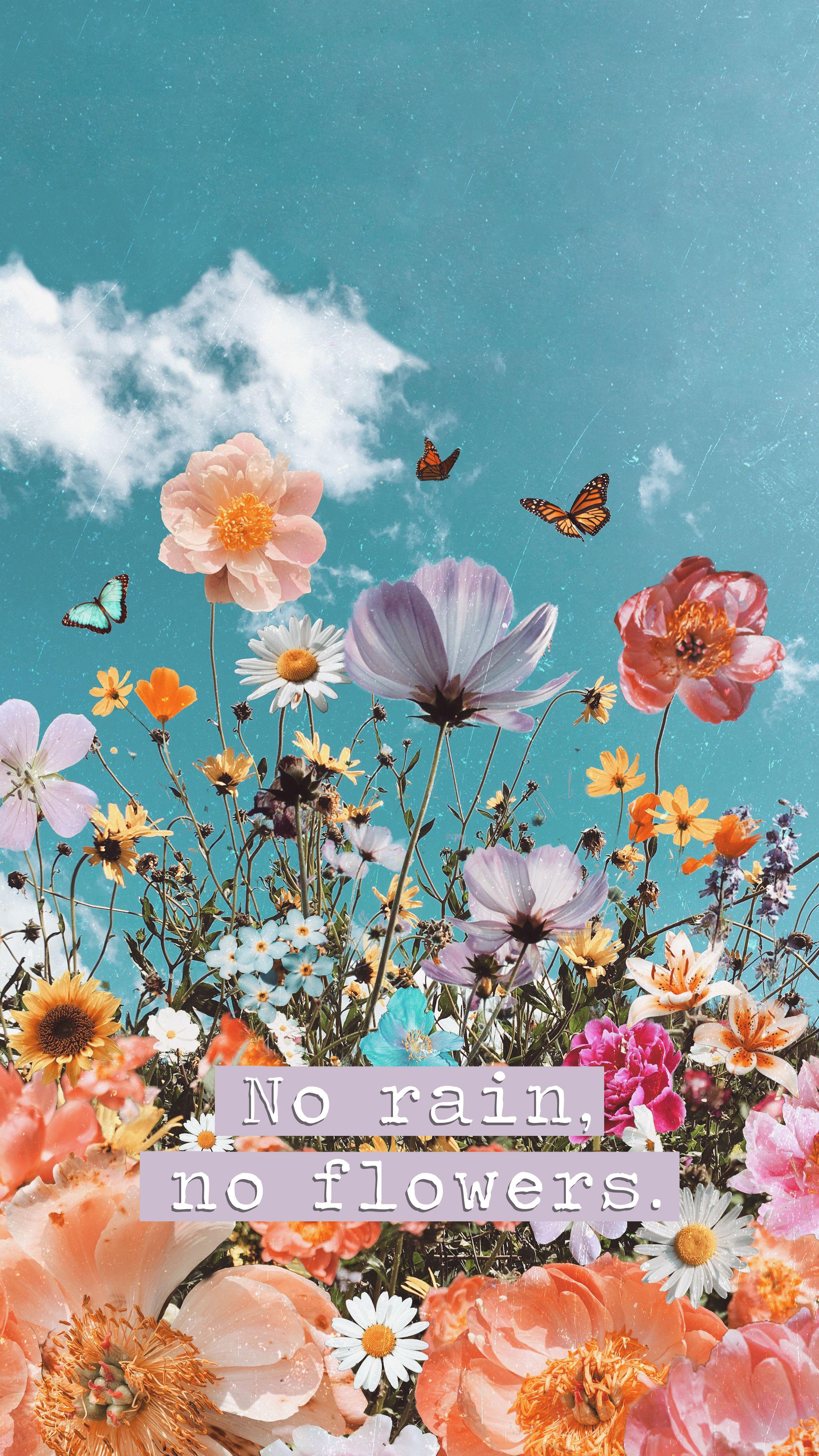 No Rain No Flowers Wallpapers - Top Free No Rain No Flowers Backgrounds