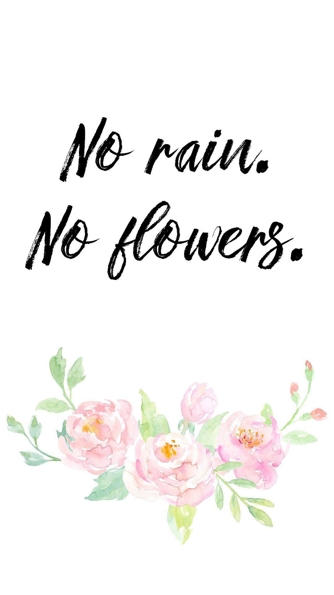 No Rain No Flowers Wallpapers - Top Free No Rain No Flowers Backgrounds