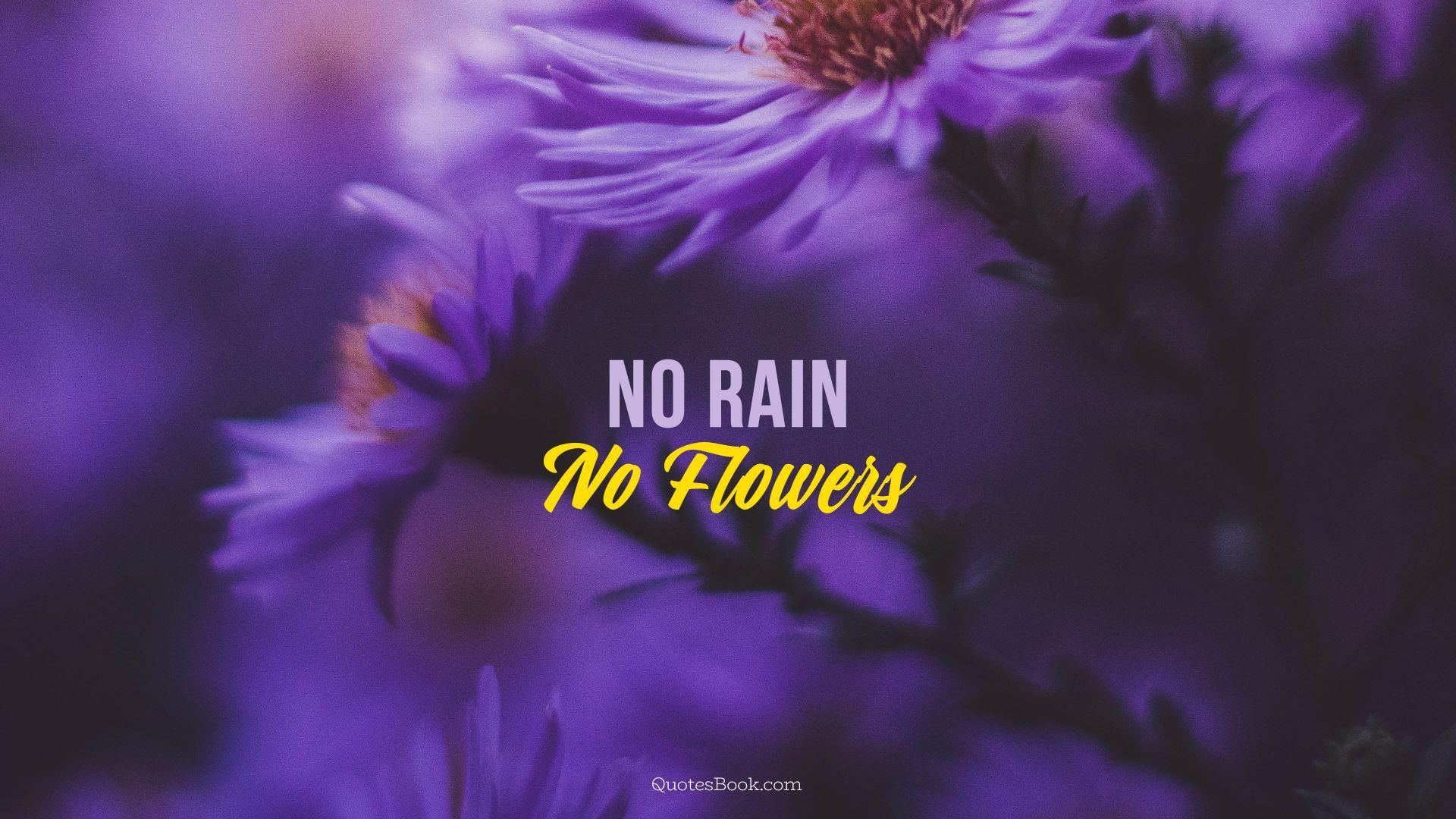 No Rain No Flowers Wallpapers - Top Free No Rain No Flowers Backgrounds