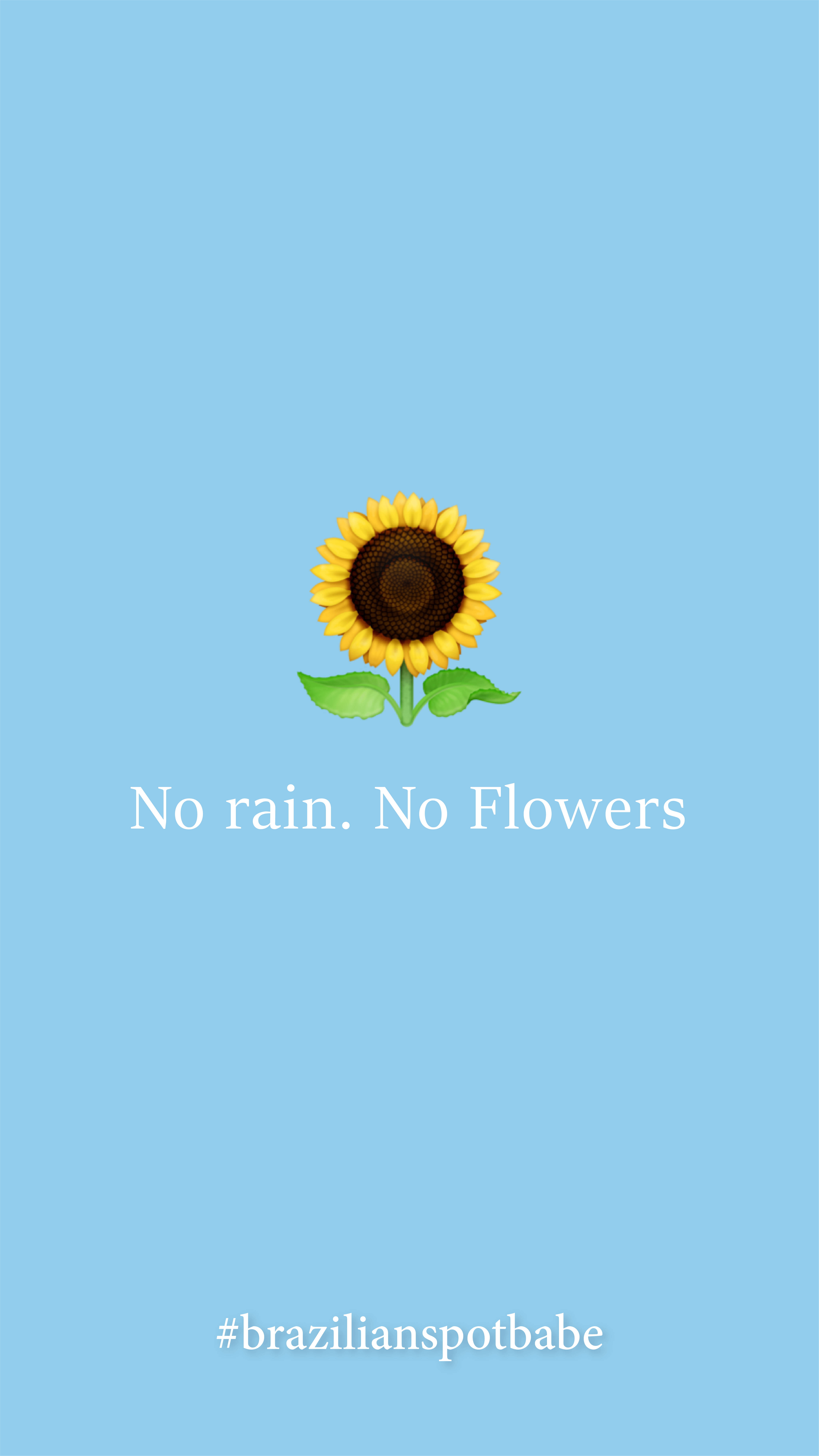 No Rain No Flowers Wallpapers - Top Free No Rain No Flowers Backgrounds