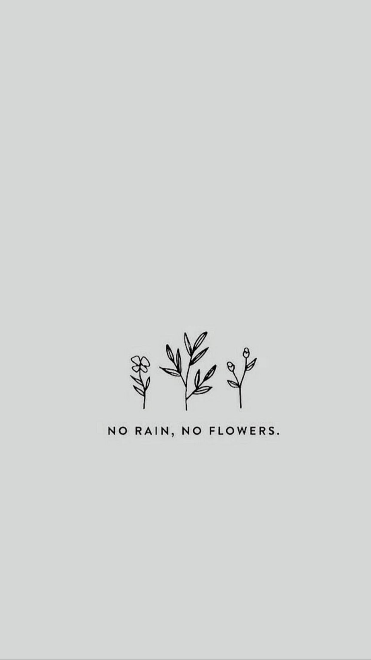 No Rain No Flowers Wallpapers - Top Free No Rain No Flowers Backgrounds ...