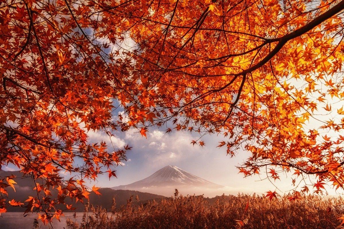 Japanese Autumn Desktop Wallpapers - Top Free Japanese Autumn Desktop