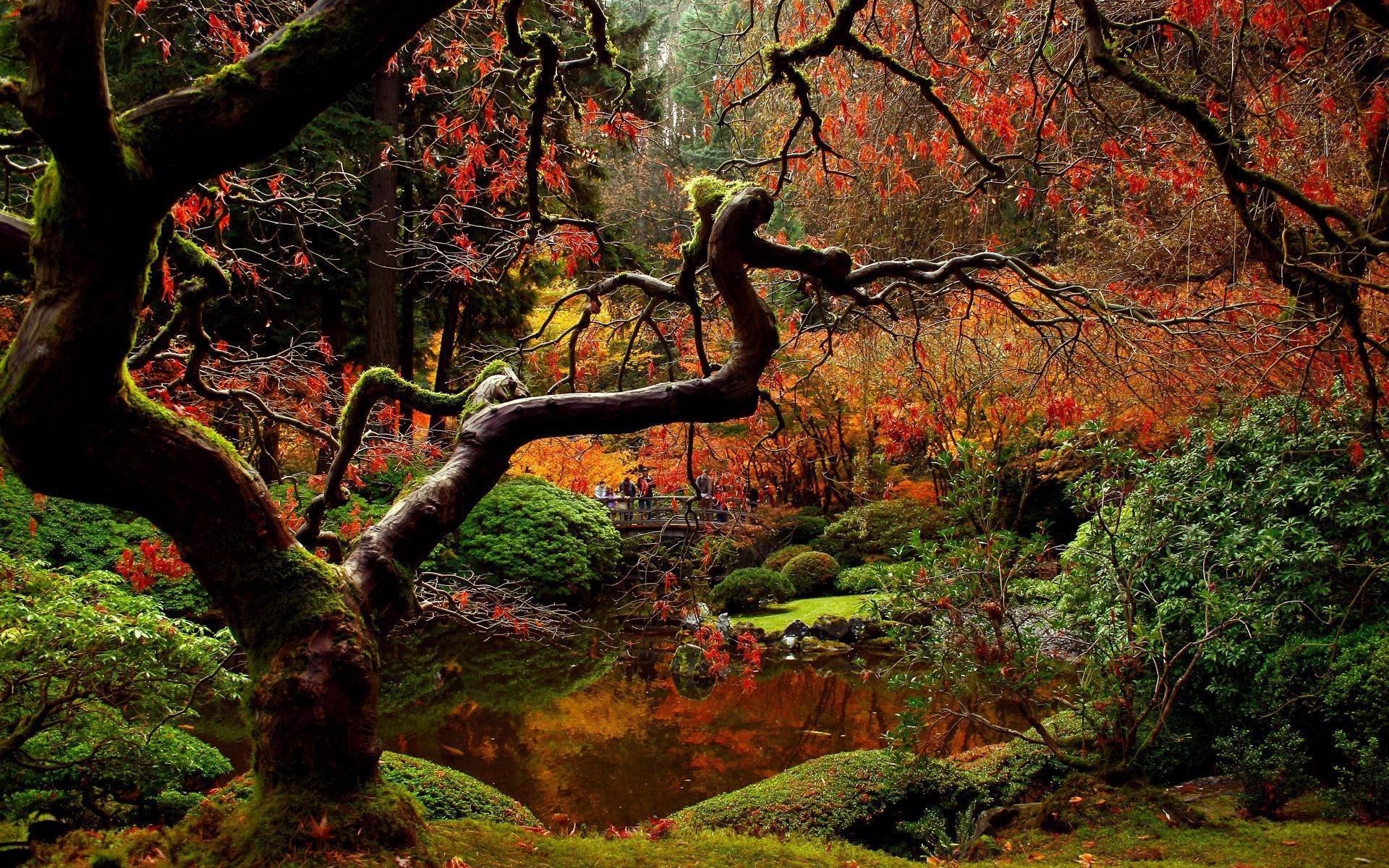 1920x1200 Japanese garden in the autumn HD desktop wallpaper : Widescreen