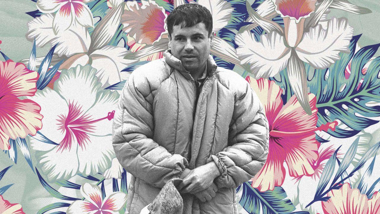 El Chapo Guzman Wallpapers - Top Free El Chapo Guzman Backgrounds