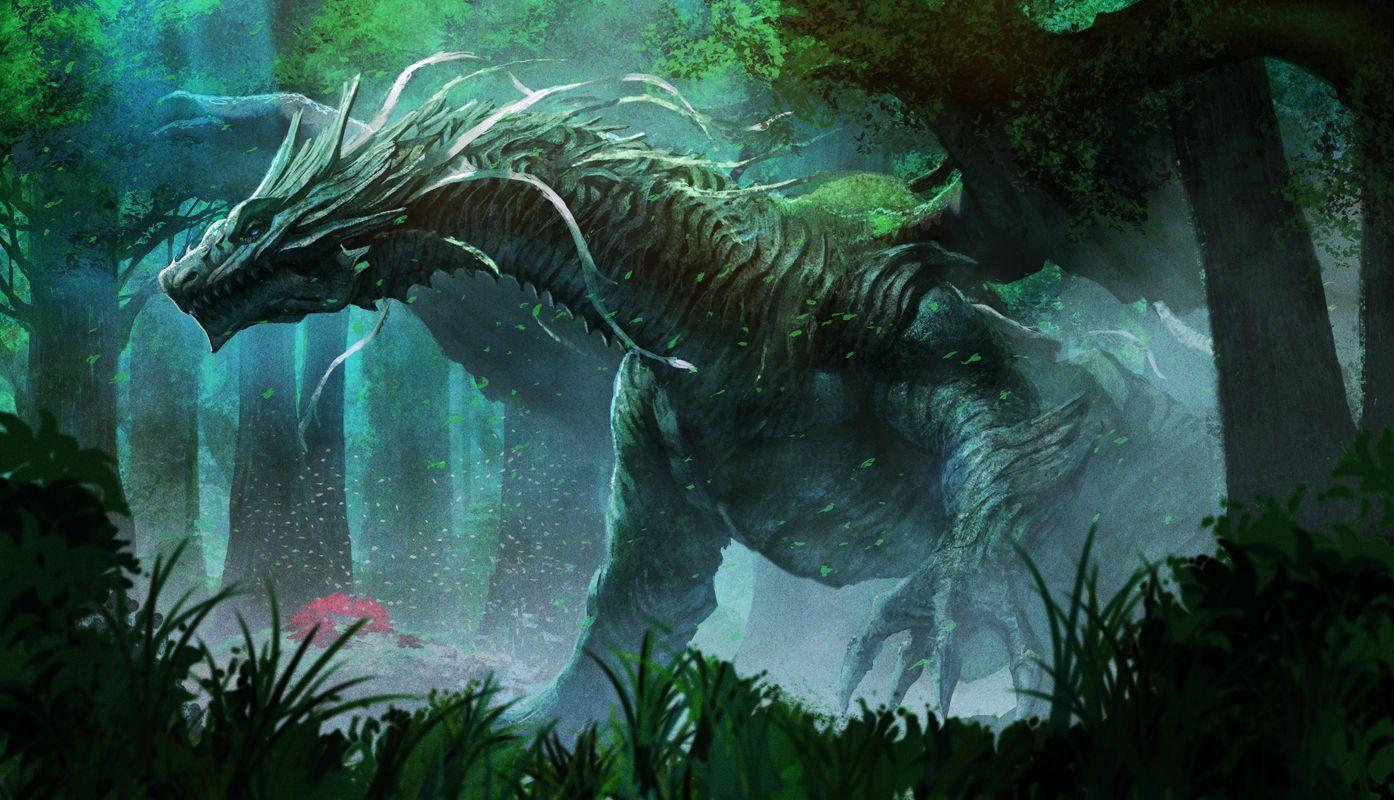 fantasy forest dragon wallpaper