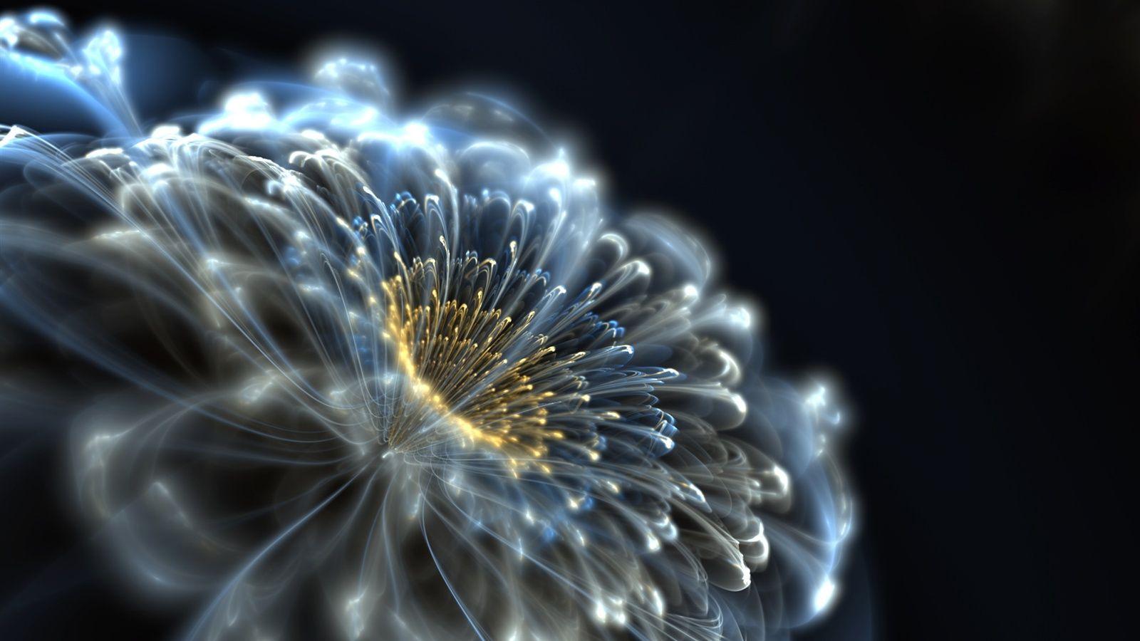 1600x900 Flower Abstract Neon 262979 Wallpaper wallpaper