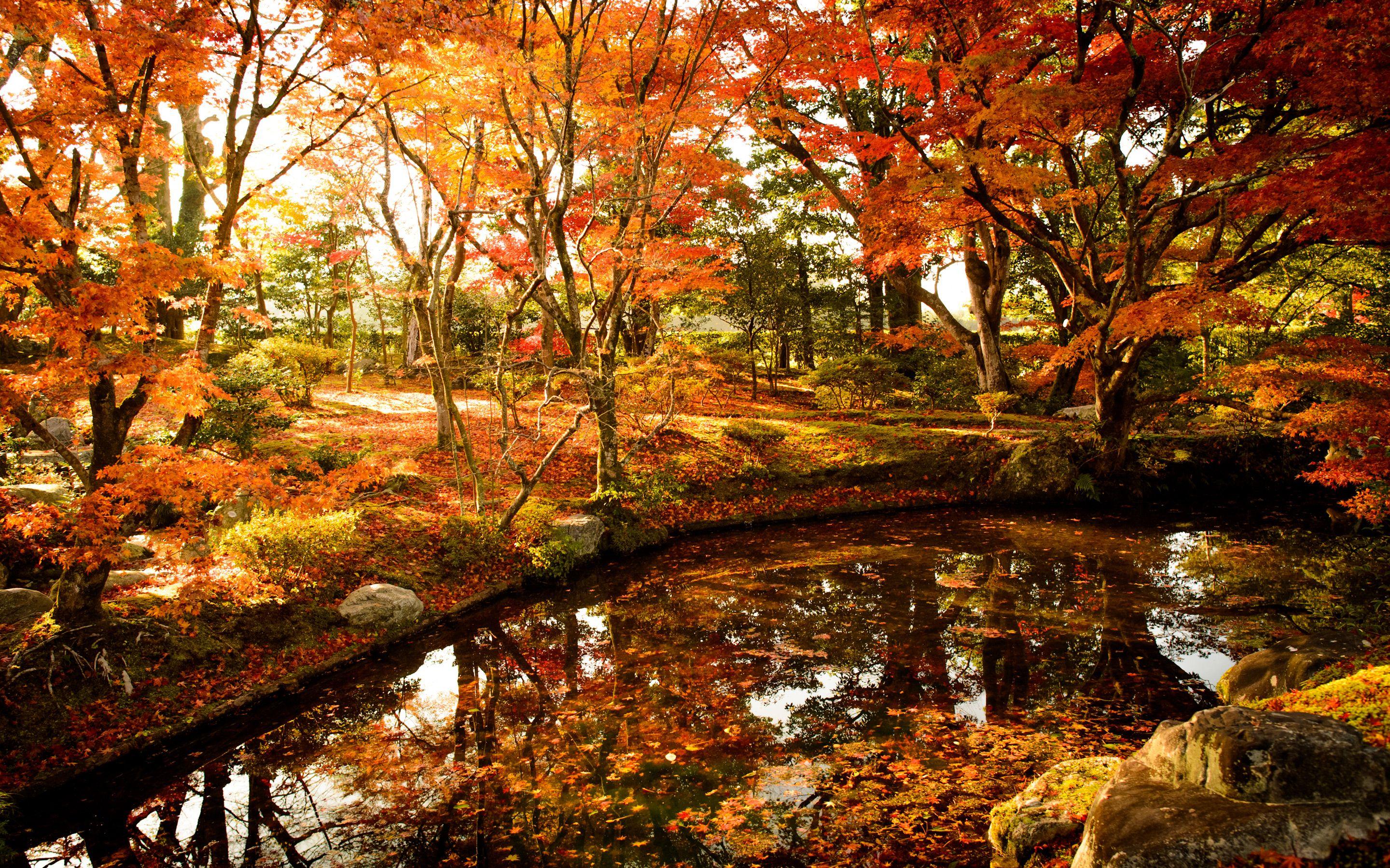 Japanese Autumn Desktop Wallpapers - Top Free Japanese Autumn Desktop ...