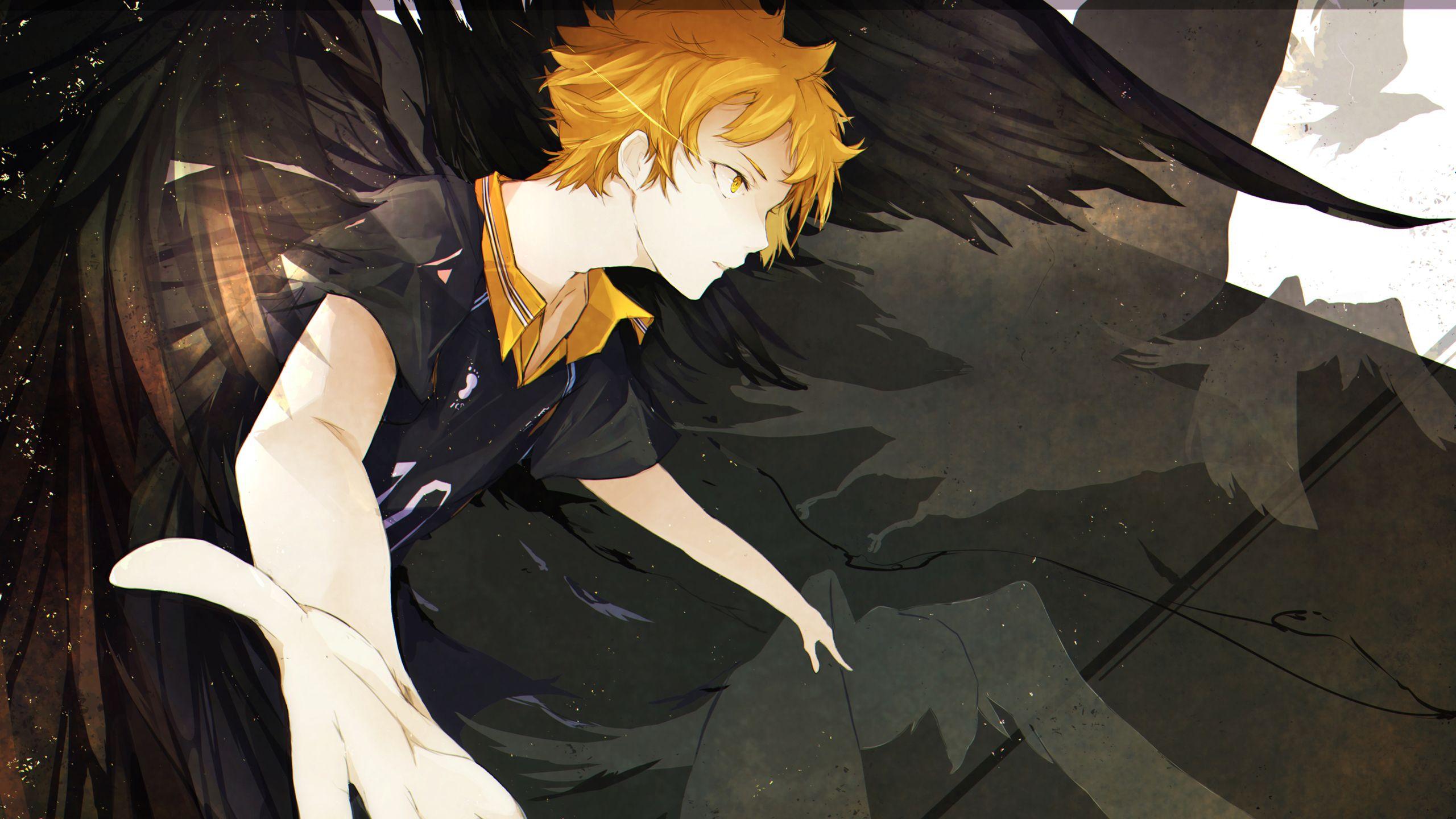 2560x1440 Haikyu Shoyo Hinata With Brown Hair HD Anime Wallpaper