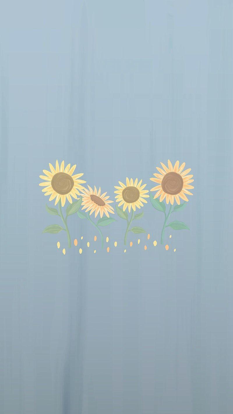 800x1422 Wallpaper Phone Wallpaper