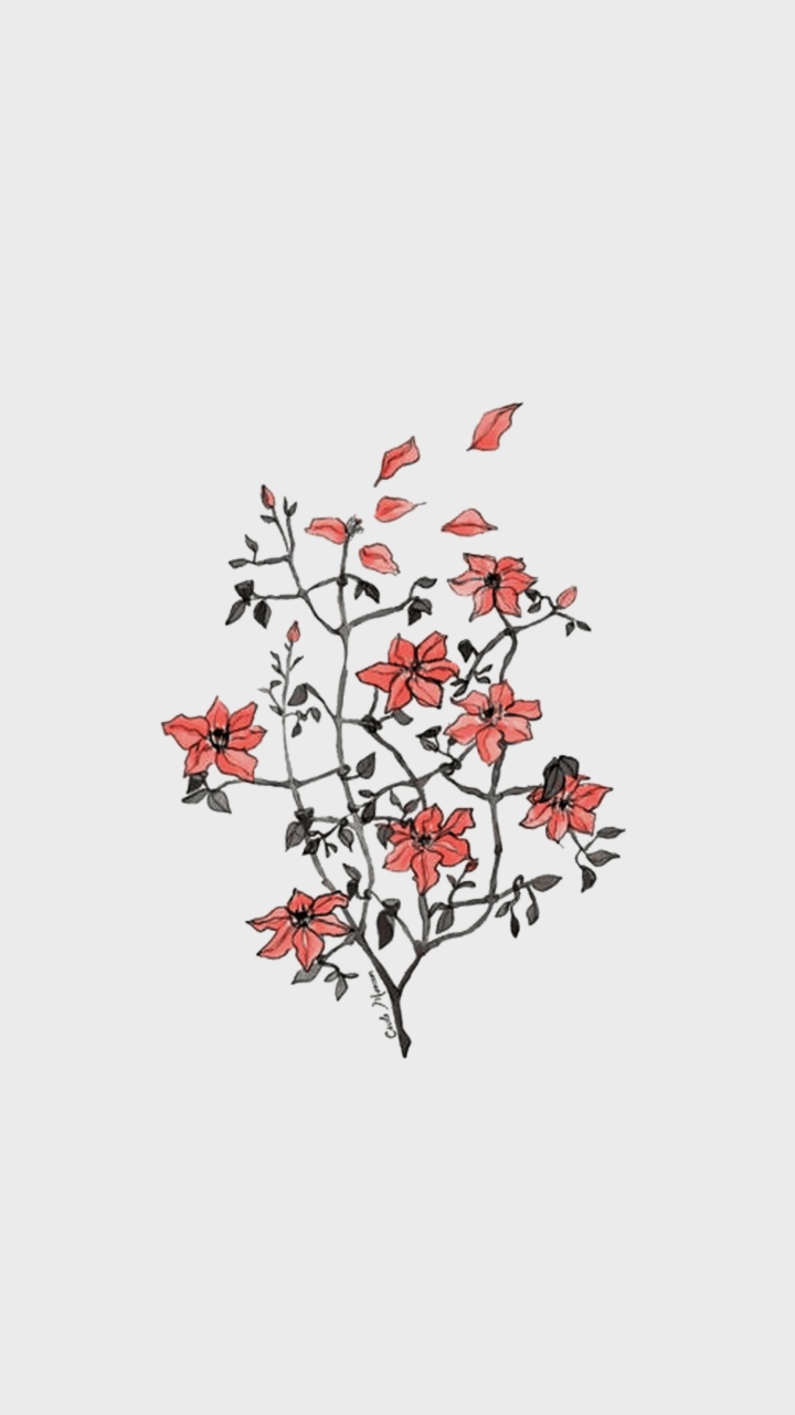 720x1280 Pastel Minimalist Floral Wallpaper