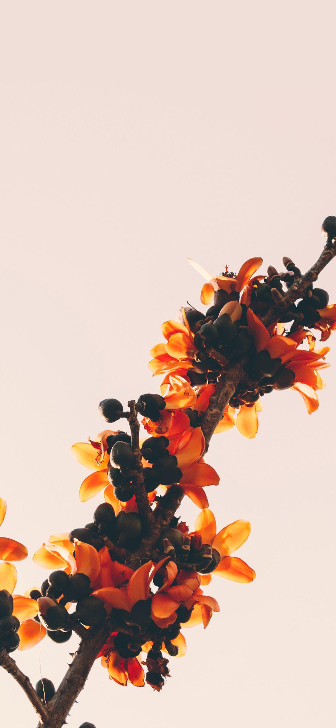 1125x2436 iPhone X wallpaper. flower tree red nature simple
