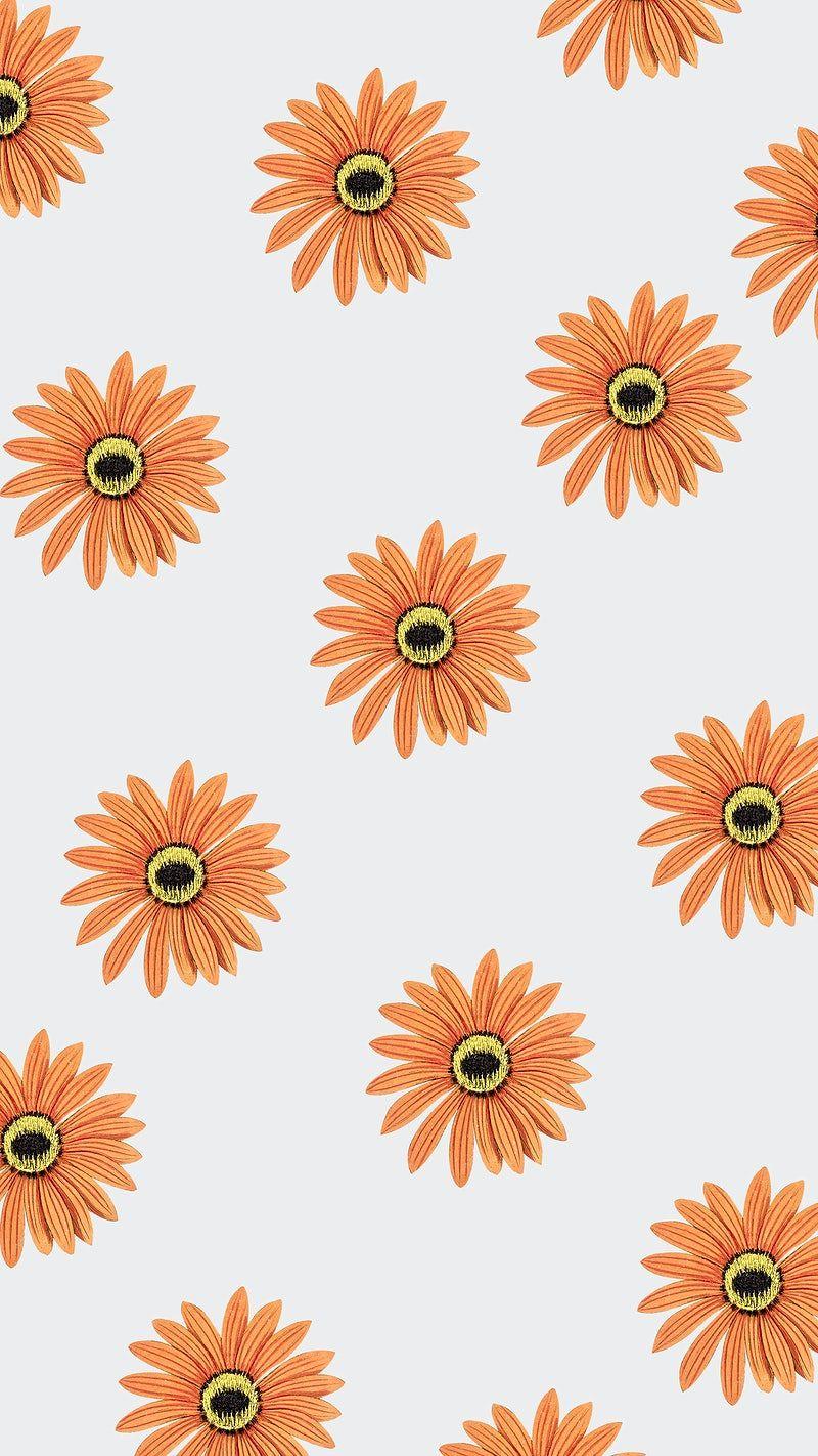 800x1422 Floral HD Mobile Phone Wallpaper for iPhone & Android I High Quality Image