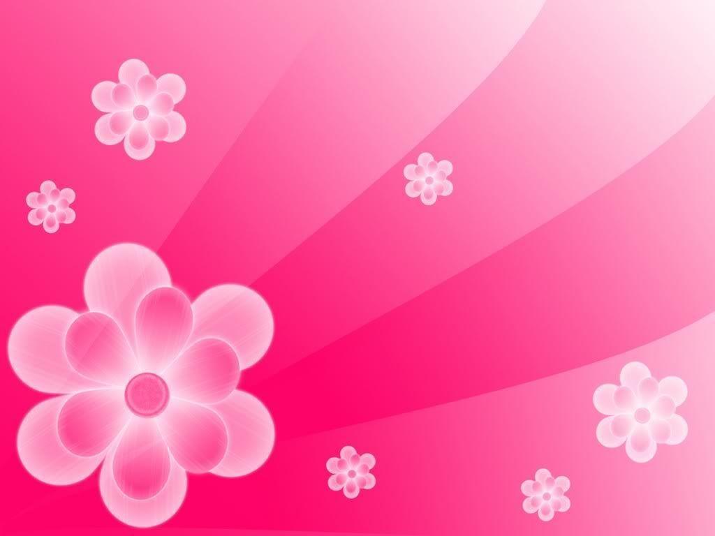 1024x768 Flower Pink Background