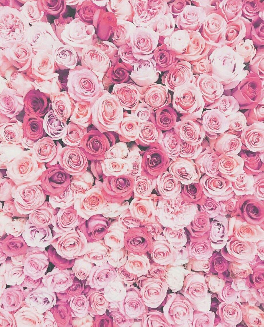 920x1138 Tumblr Flowers Background