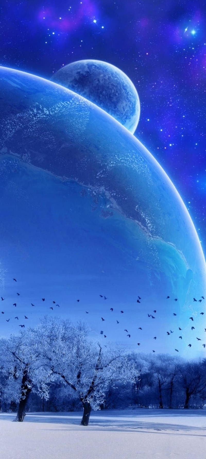 800x1778 Vivo Y21, HD phone wallpaper