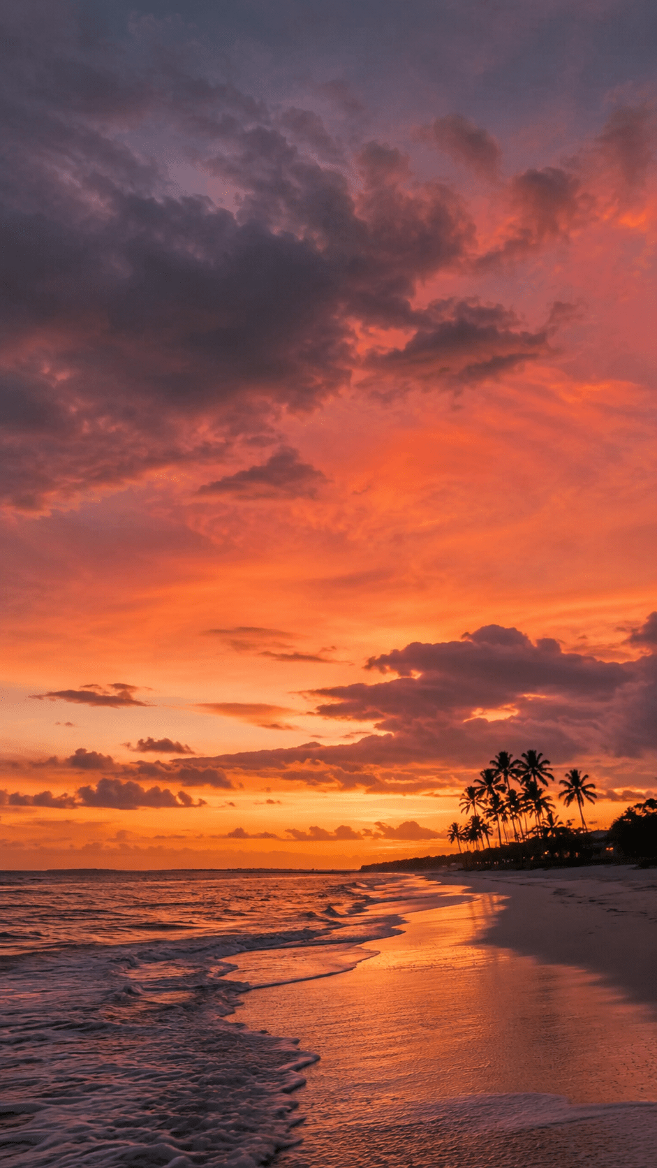 941x1672 Casing Hp Vivo Y91 The Sun Is Setting At The Beach With Palm Trees