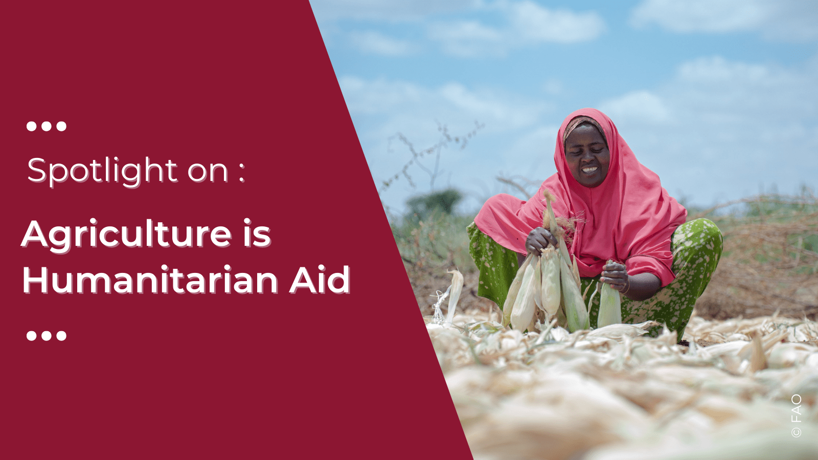 1600x900 News. FAO in North America. Food and Agriculture Organization of the United Nations