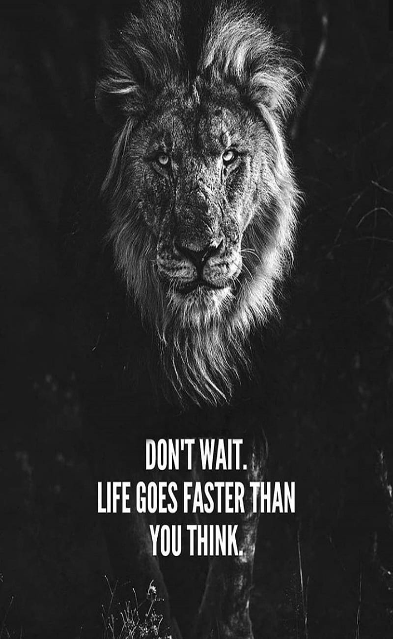800x1300 HD dont think wallpaper