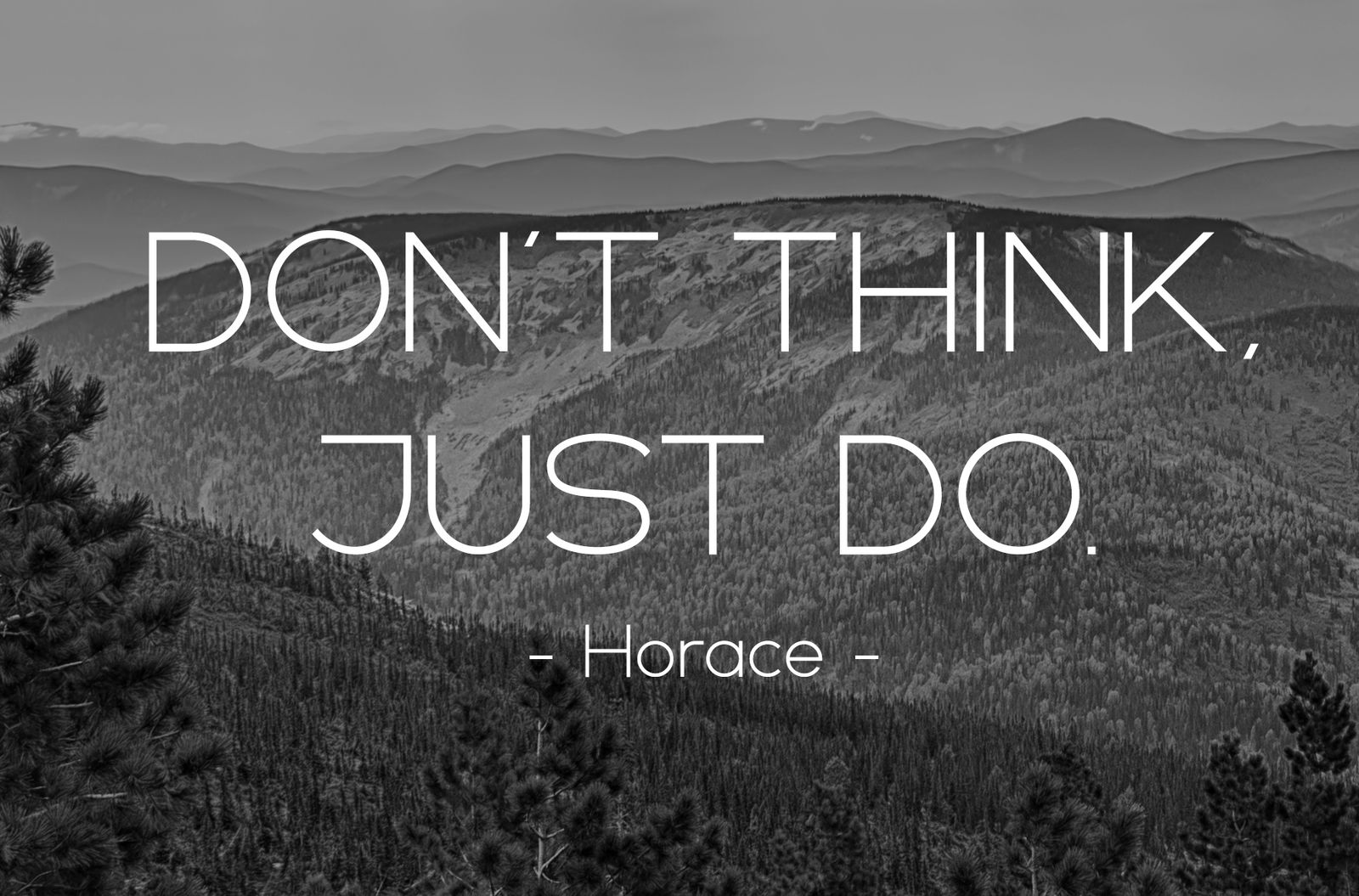 1600x1055 Harbinger Sans Serif Font on Yellow Image Creative Store
