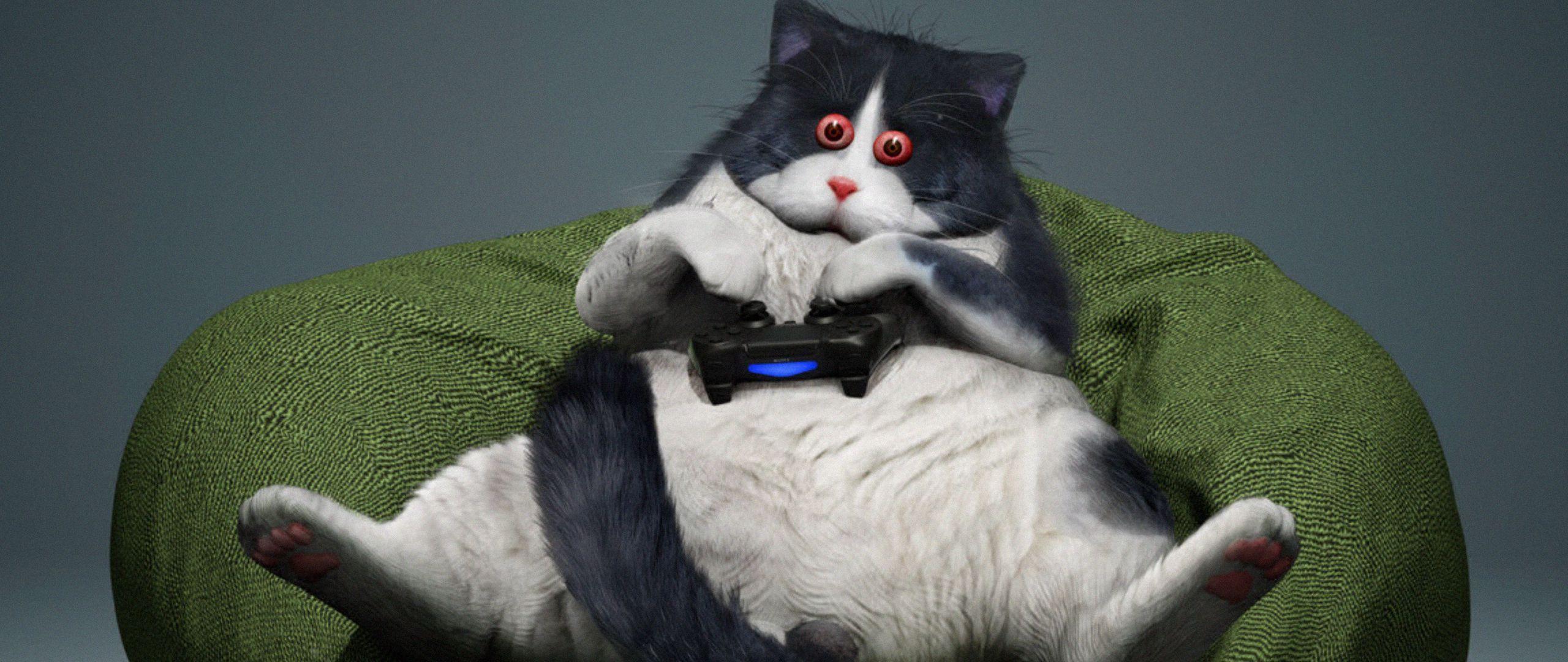 2560x1080 Download wallpaper 2560x1080 cat, gamepad, funny, cool, gamer dual wide 1080p HD background