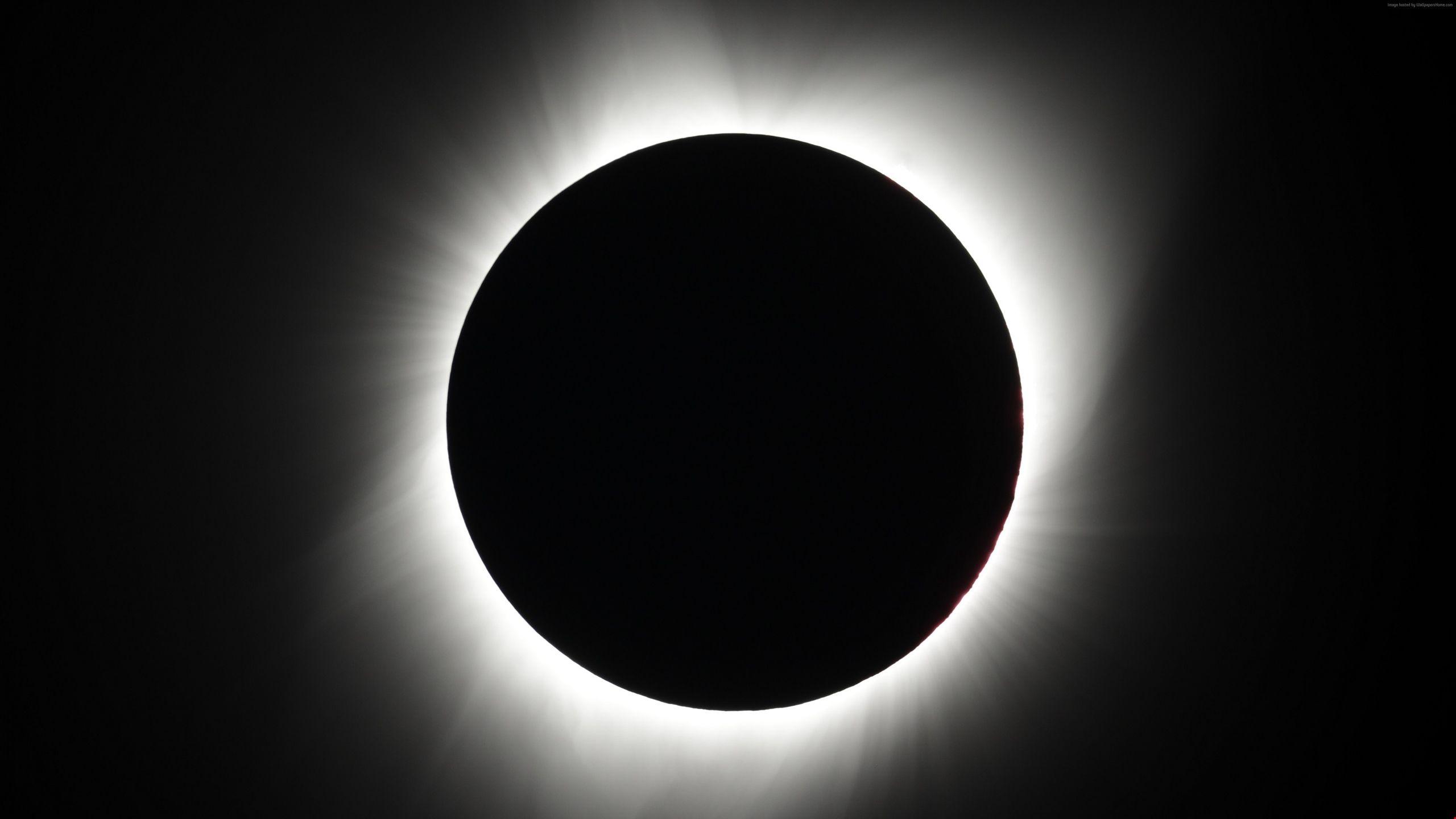 2560x1440 5k Total solar eclipse of Aug 21 Great American eclipse, 4k