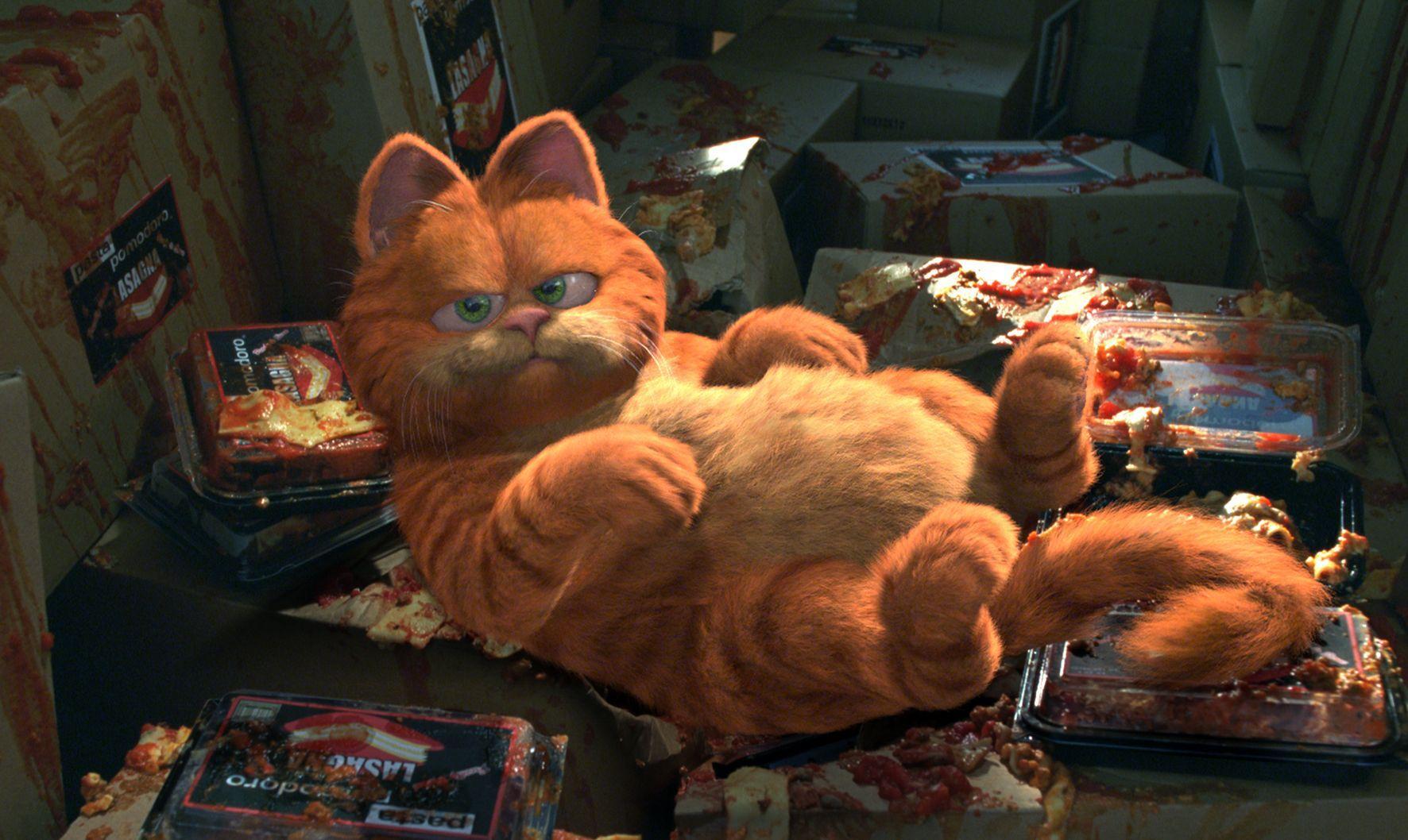 1772x1058 Garfield Movie Wallpaper