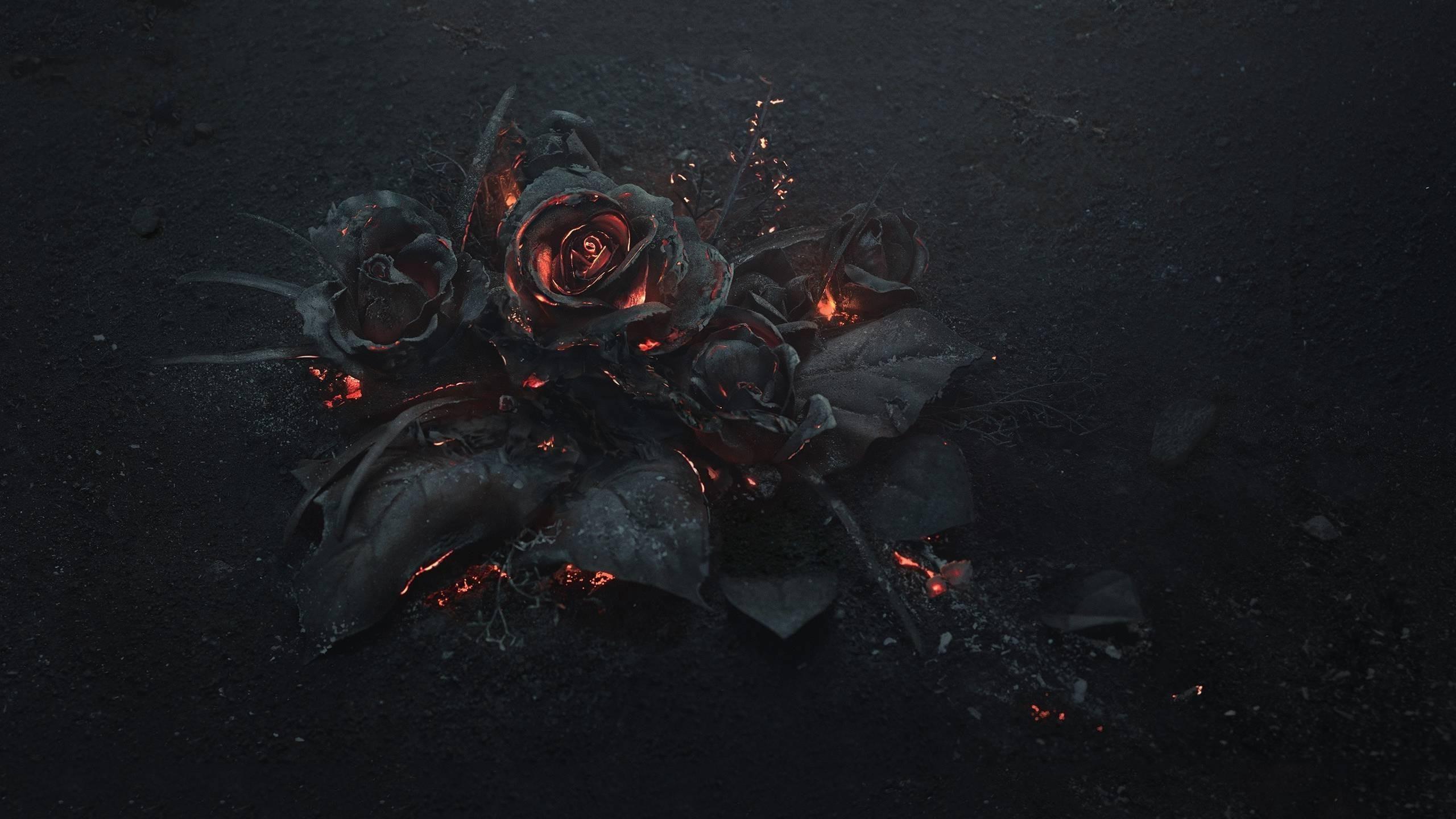 2560x1440 KN- Hearts and purple roses 3D