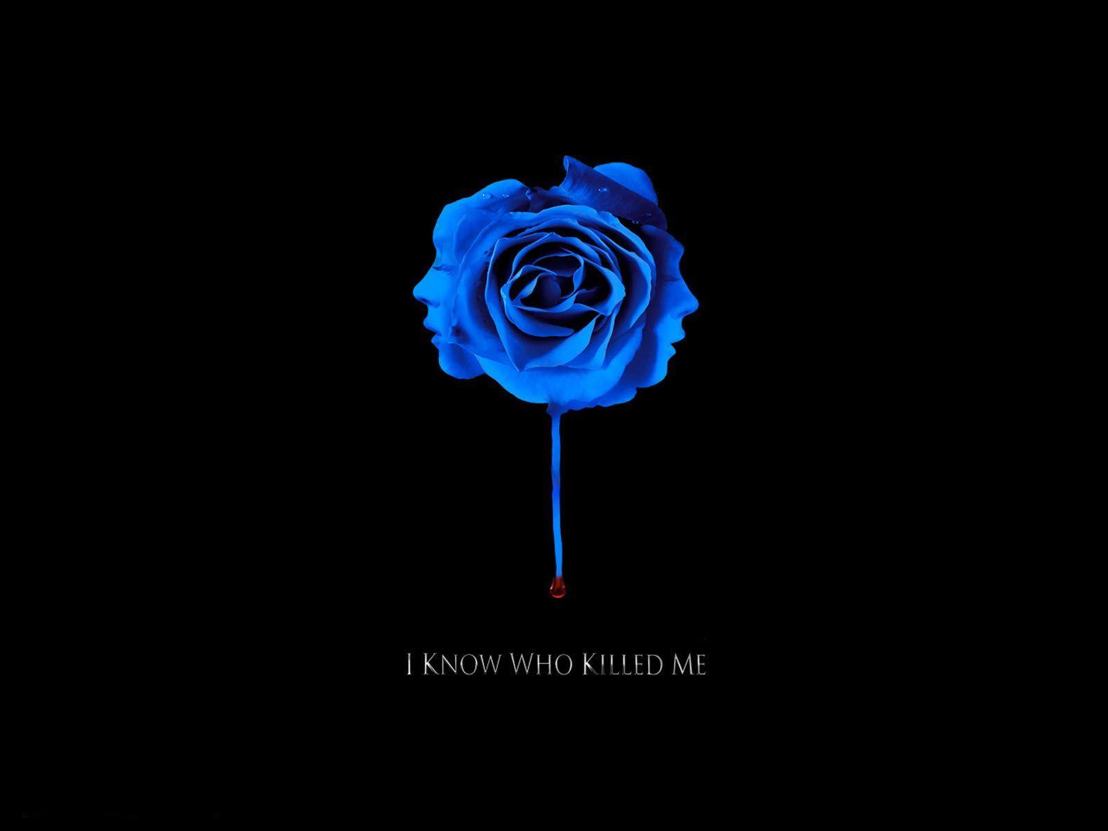1600x1200 Blue Rose Wallpaper