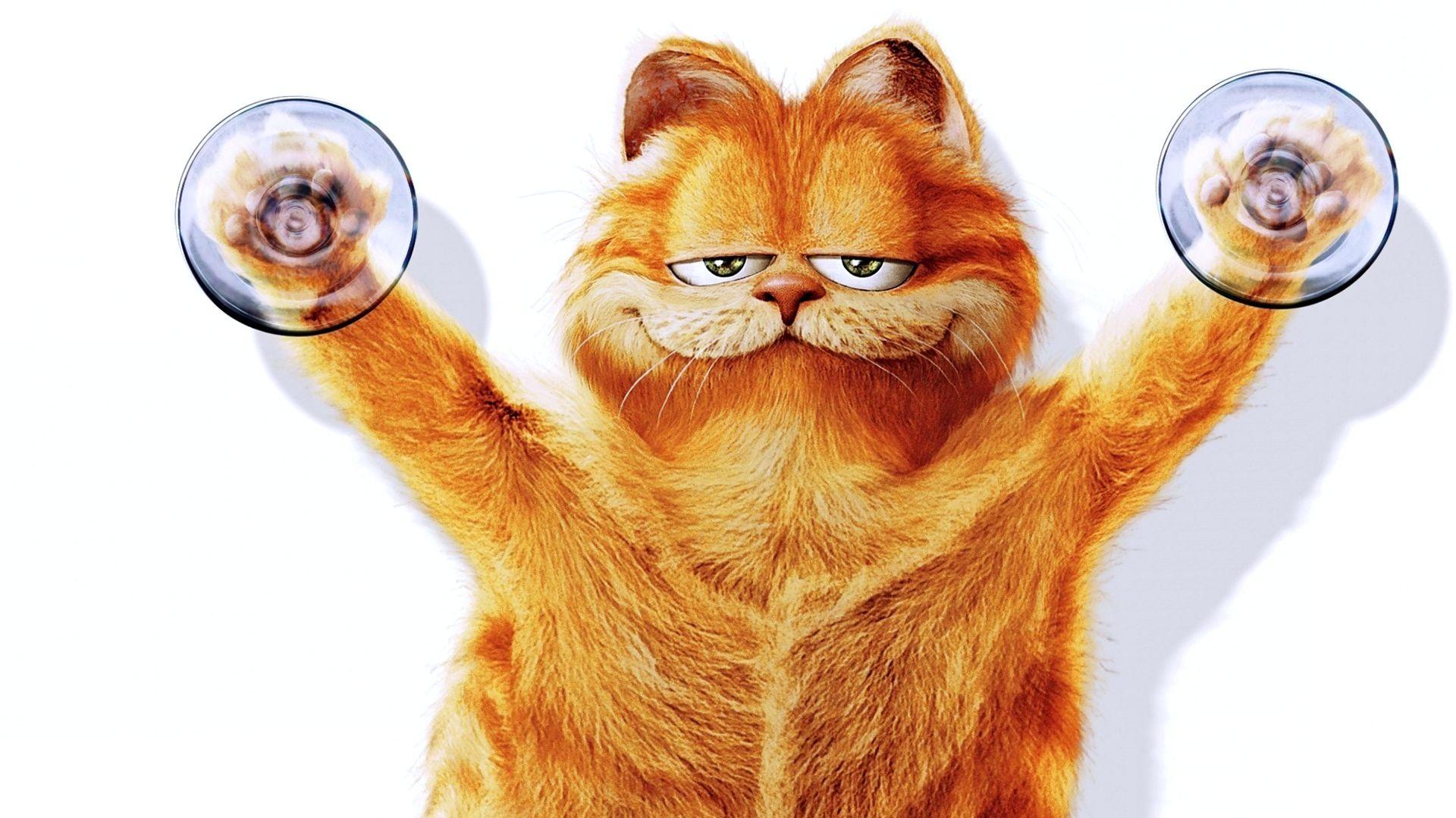 1920x1080 Free download Funny Garfield Wallpaper HD [1920x1200] for your Desktop, Mobile & Tablet. Explore Funny Garfield Wallpaper. Garfield Wallpaper Quotes, Garfield Halloween Wallpaper, Garfield Wallpaper Downloads