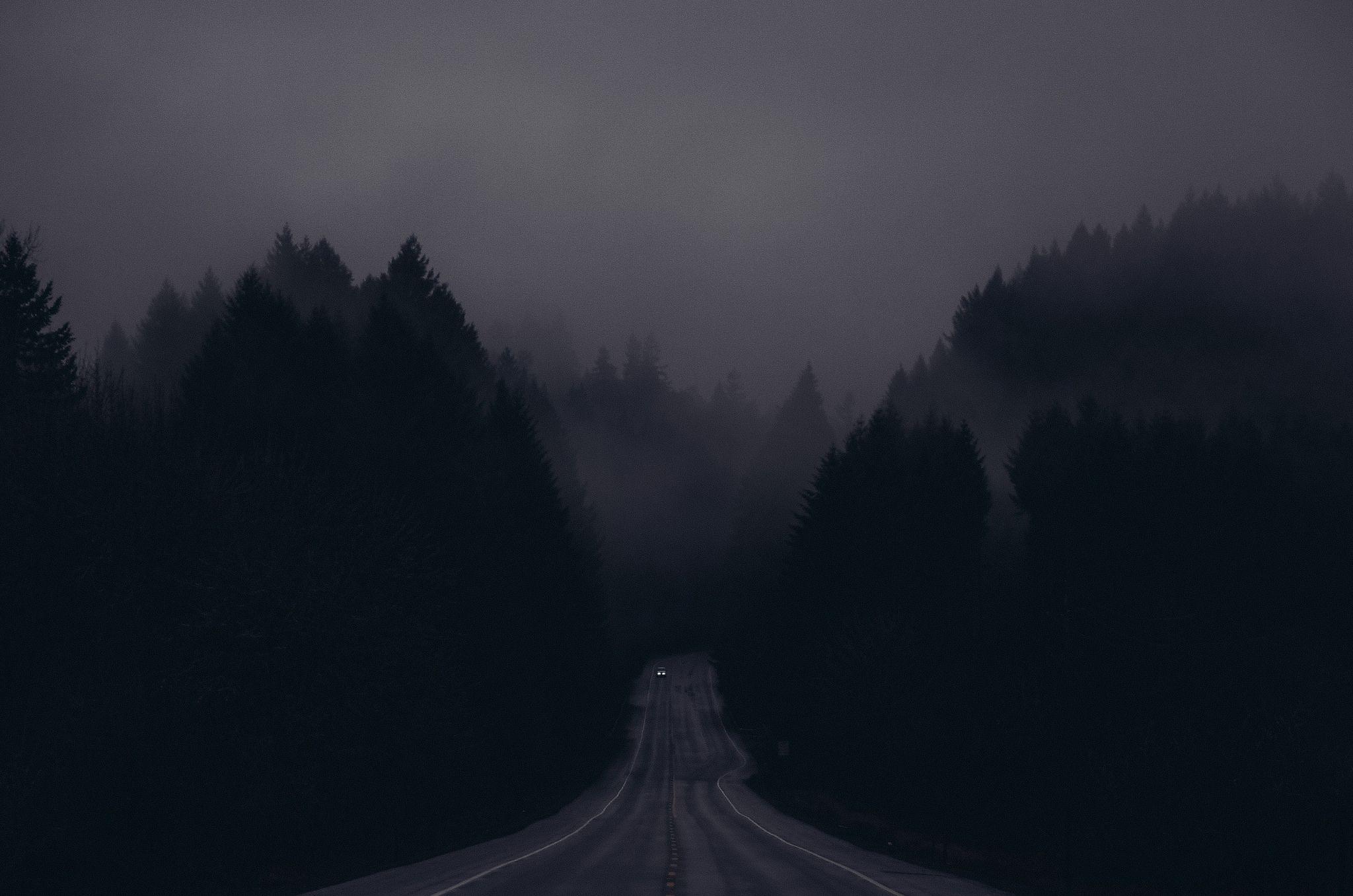 2048x1357 Dark Forest, Dim Lights [2560x1440]