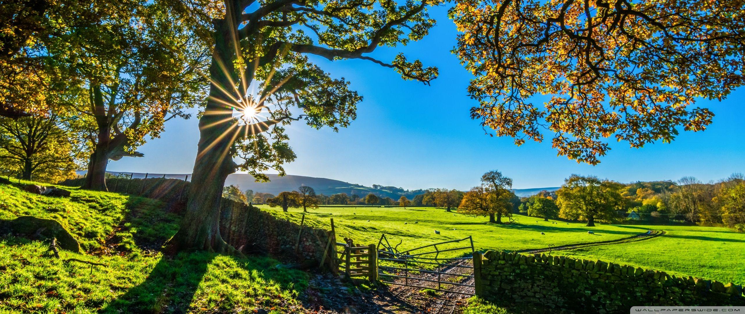 2560x1080 Beautiful England Nature Countryside Scenery Ultra HD Desktop Background Wallpaper for 4K UHD TV : Widescreen & UltraWide Desktop & Laptop : Tablet