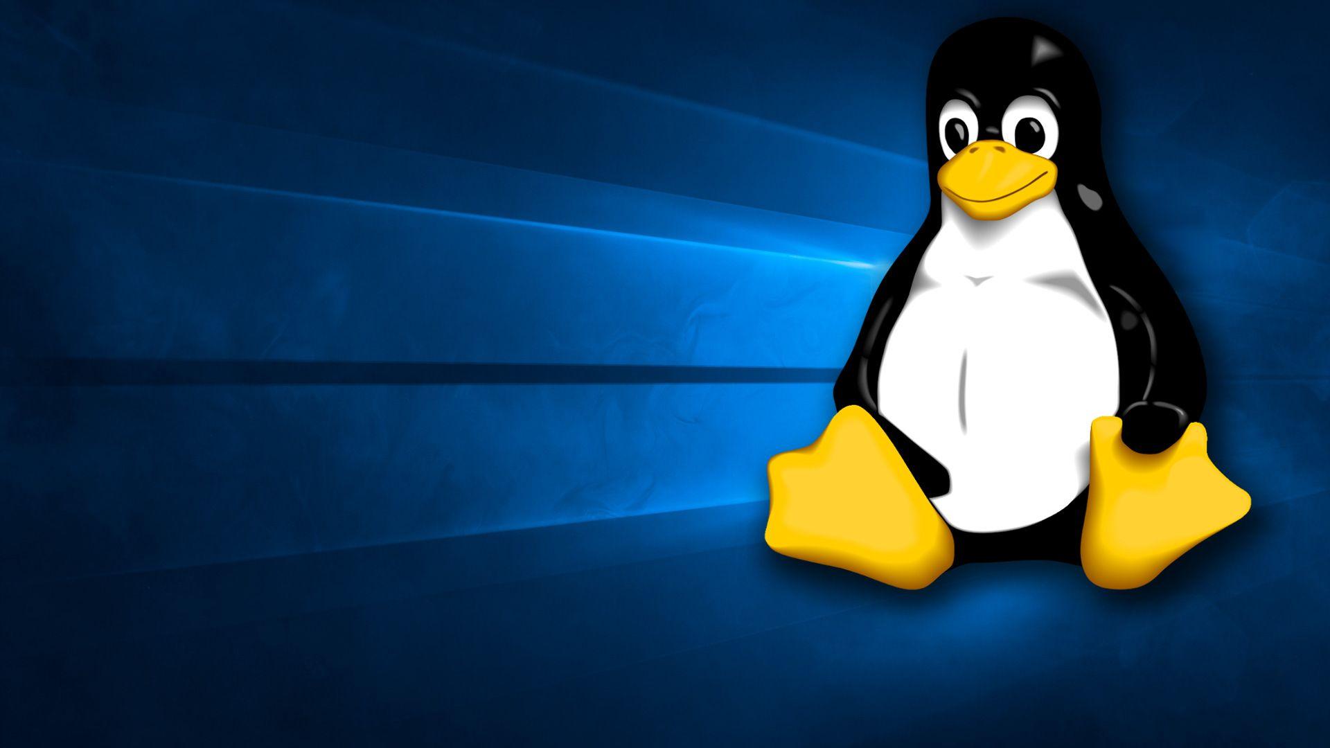 1920x1080 The Windows 10 wallpaper with Tux instead of the Windows logo [1920x1080]