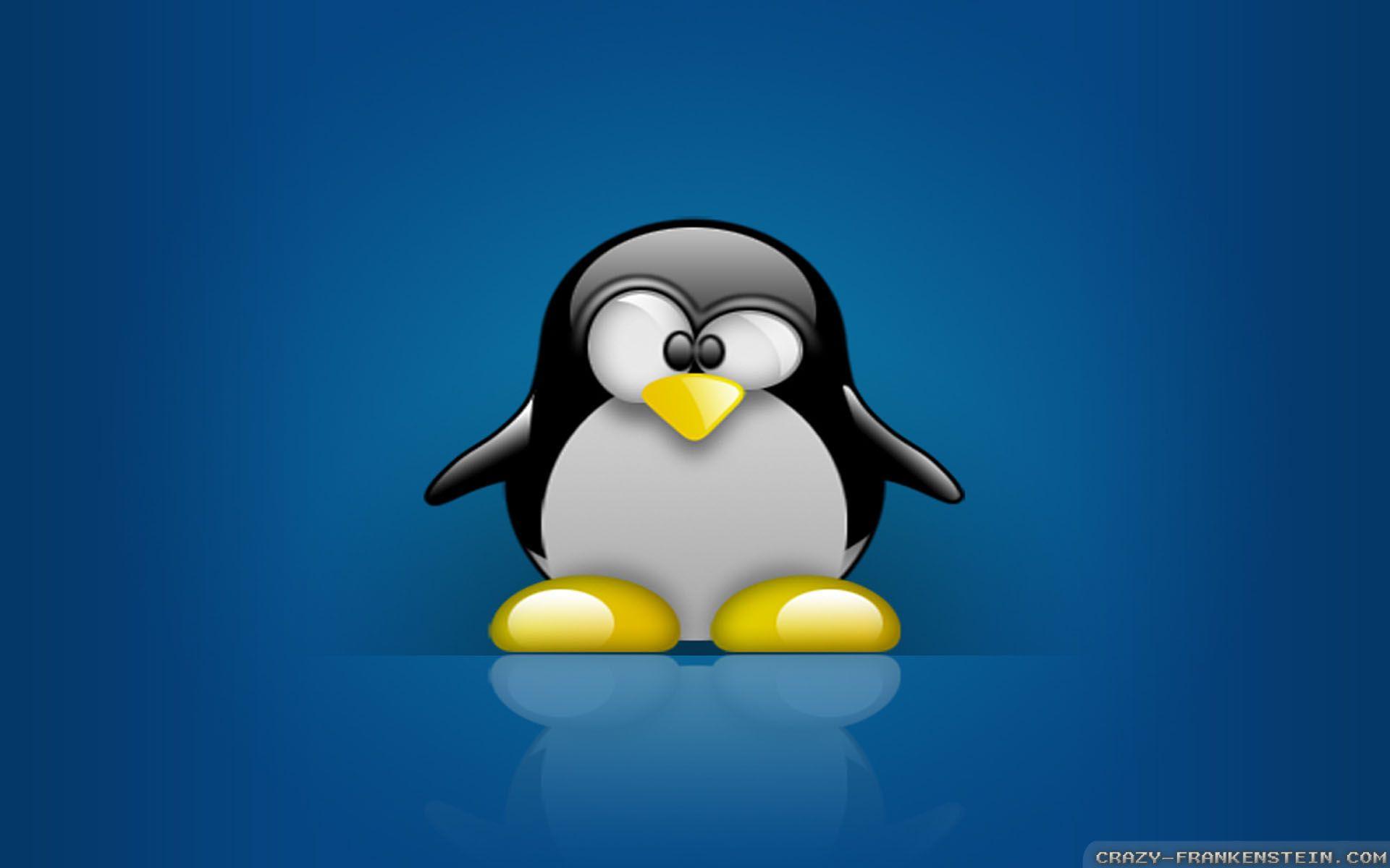 Linux Penguin Wallpapers - Top Free Linux Penguin Backgrounds ...