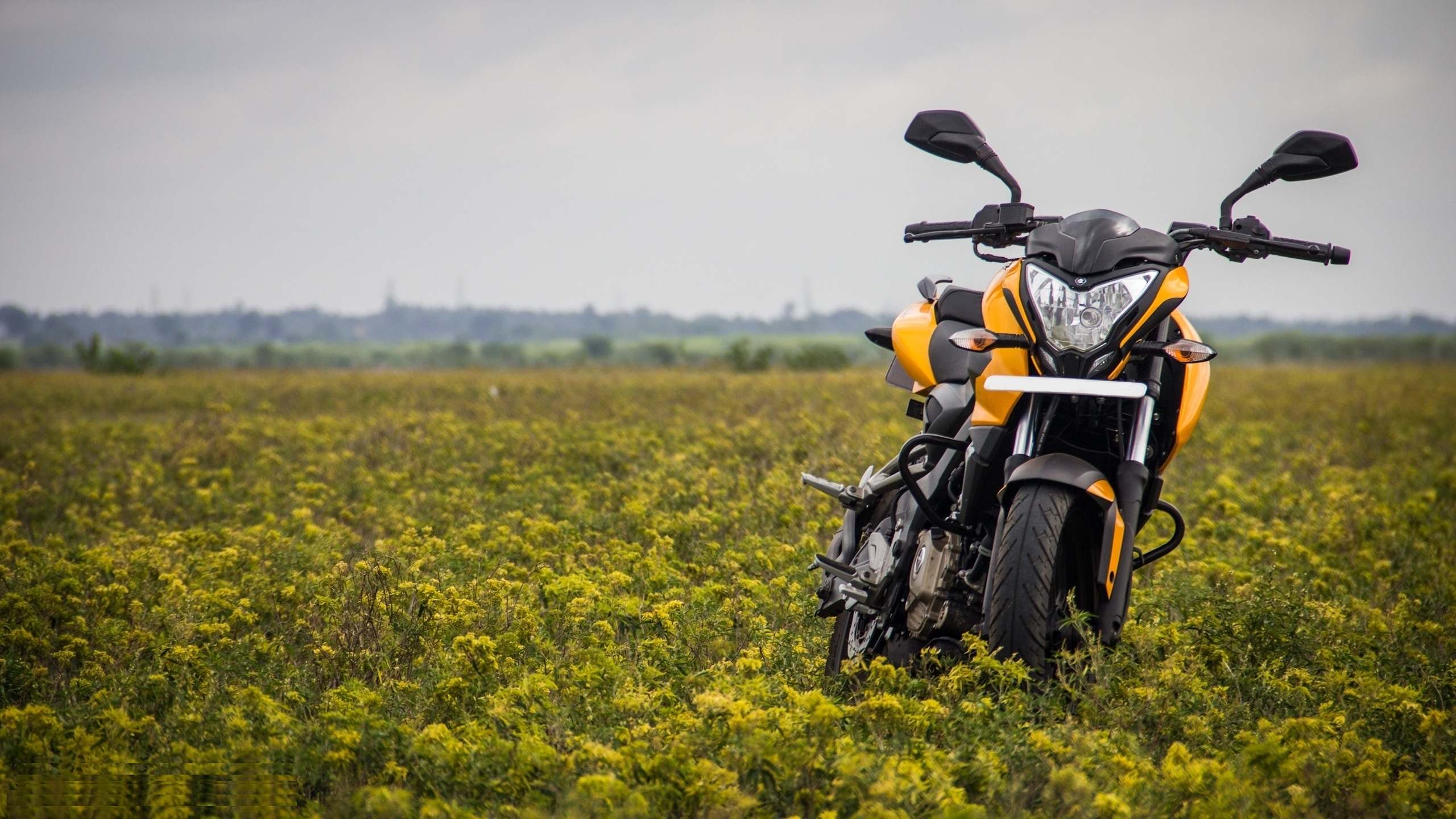 2560x1440 Yellow, Bajaj, Pulsar, Full, Screen, Hd, Wallpaper, Download