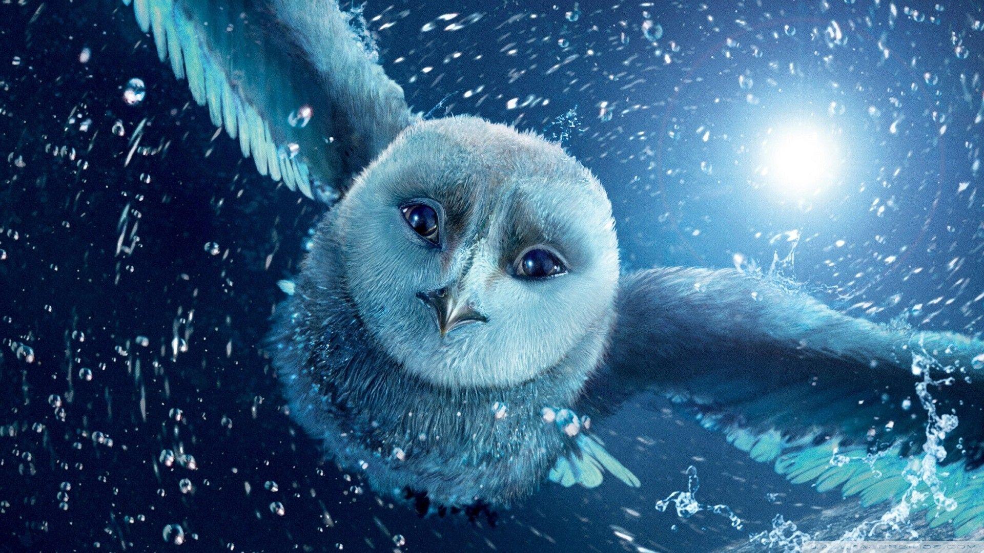 1920x1080 fantasy art owls 1920x1080 wallpaper High Quality Wallpaper, High Definition Wallpaper