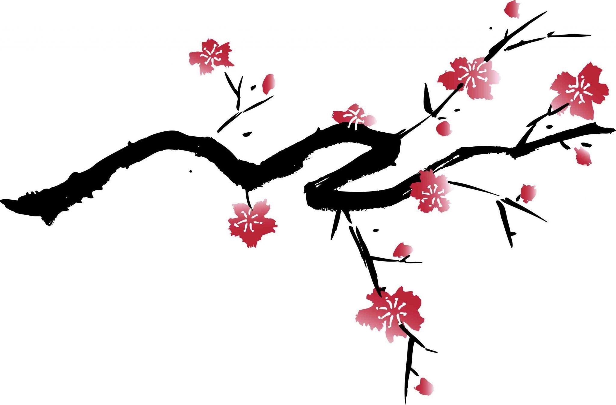 Sakura tree transparent background PNG cliparts free download  HiClipart