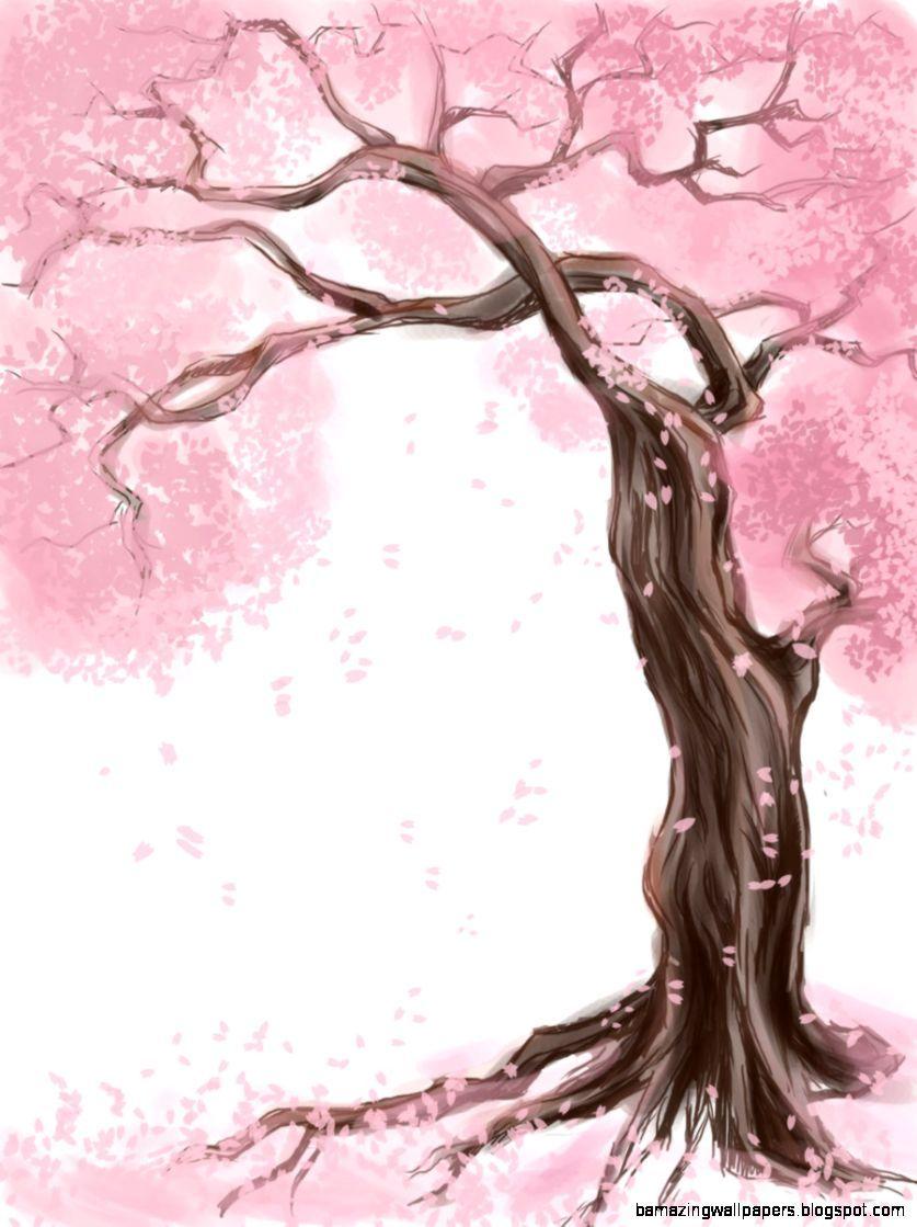 837x1119 Cherry Blossom Drawing Anime image 41 anime cherry blossom wallpaper on wallpaperafari, ten of cherry blossoms, blossoms cherry blossom drawing cherry blossom painting