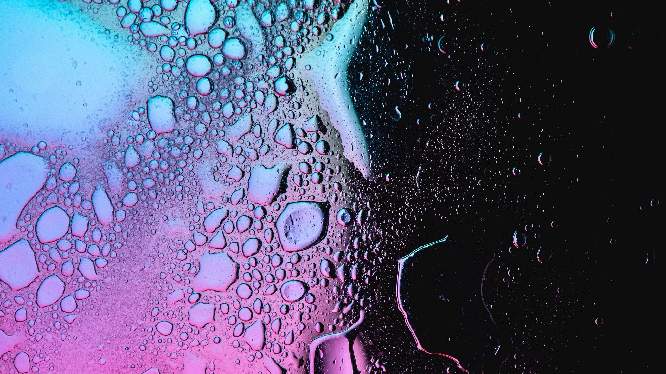 2560x1440 Download wallpaper 2560x1440 drops, gradient, humidity widescreen 16:9 HD background